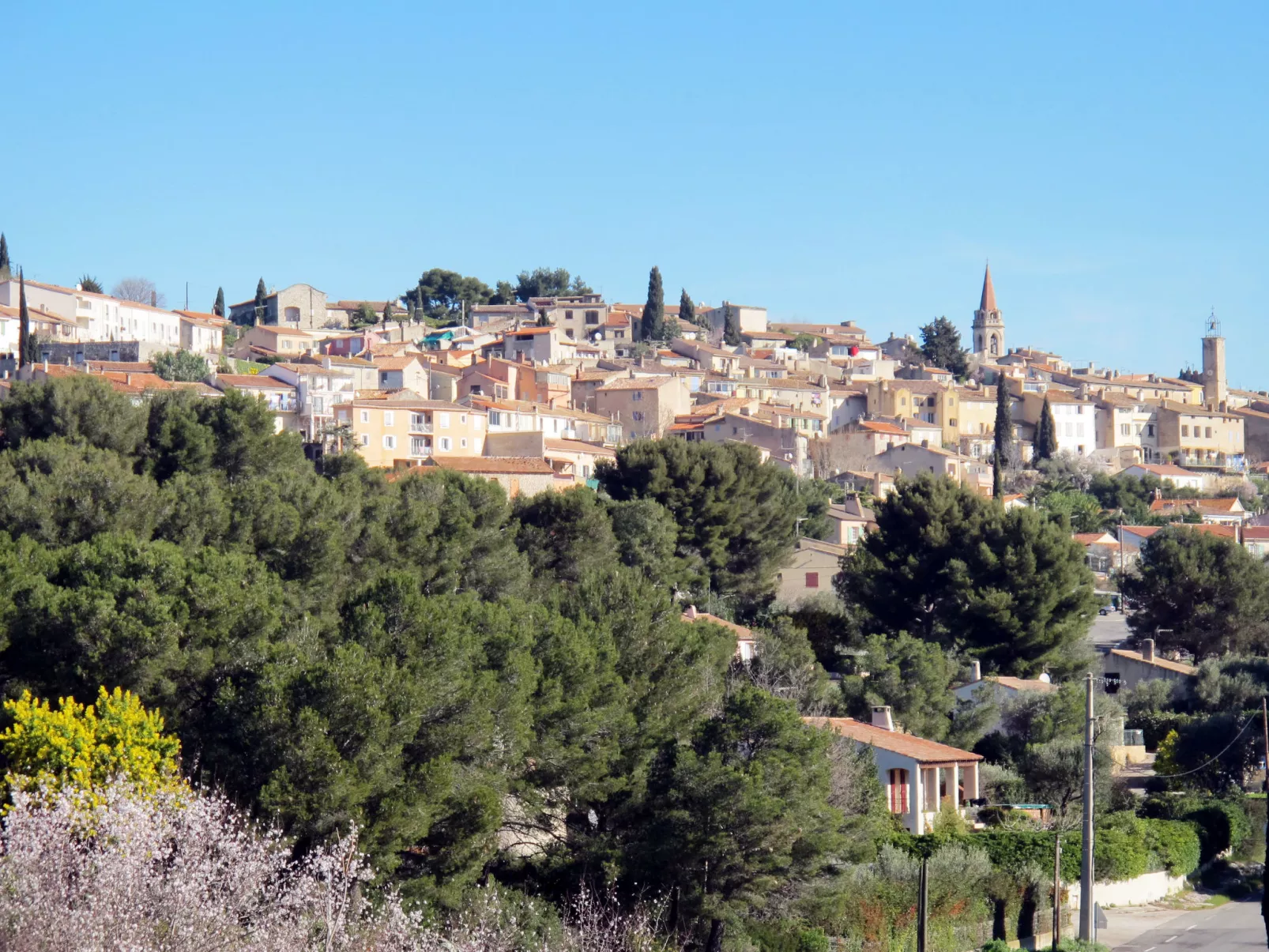 Les Vignes-Area