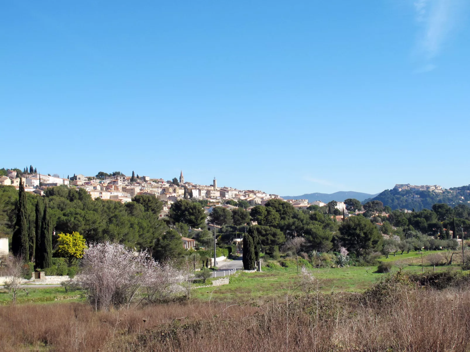 Les Vignes-Area