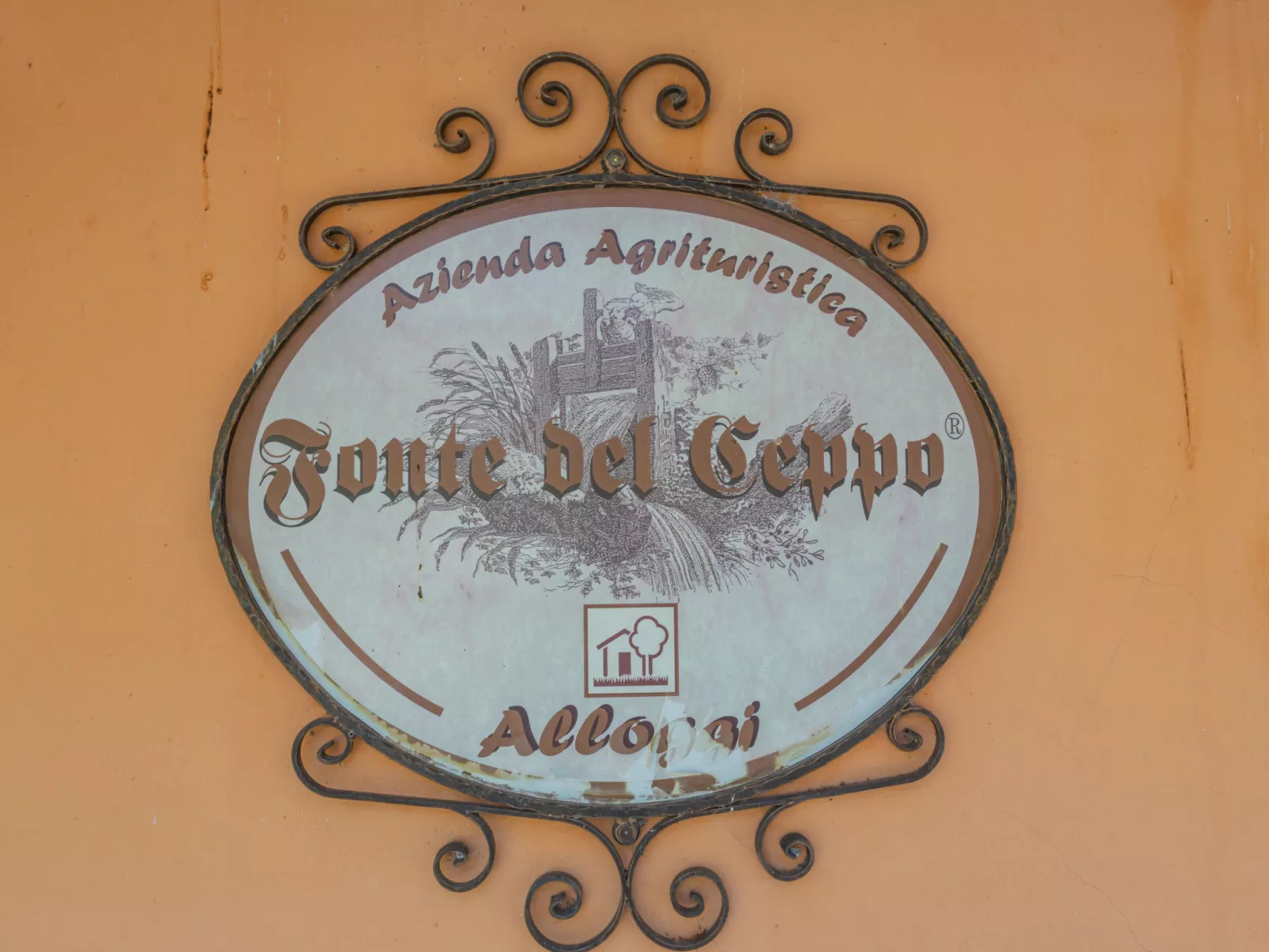Fonte del Ceppo 2-Outside