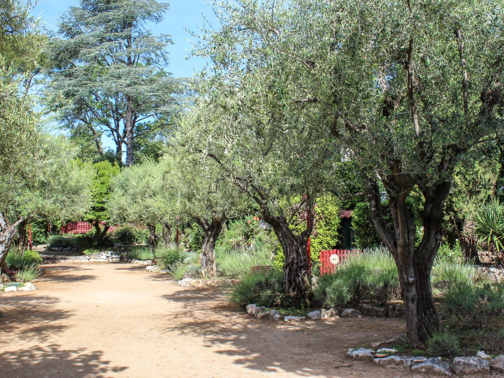 L'Orée de Vence-Outside