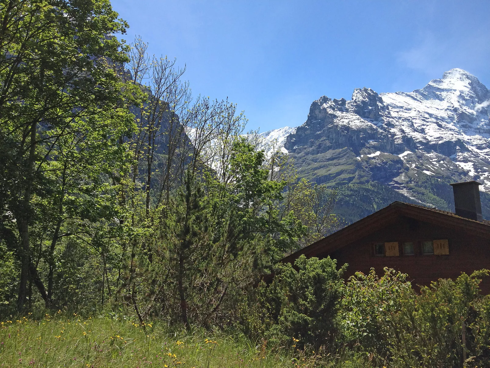 Chalet Sunneblick-Outside