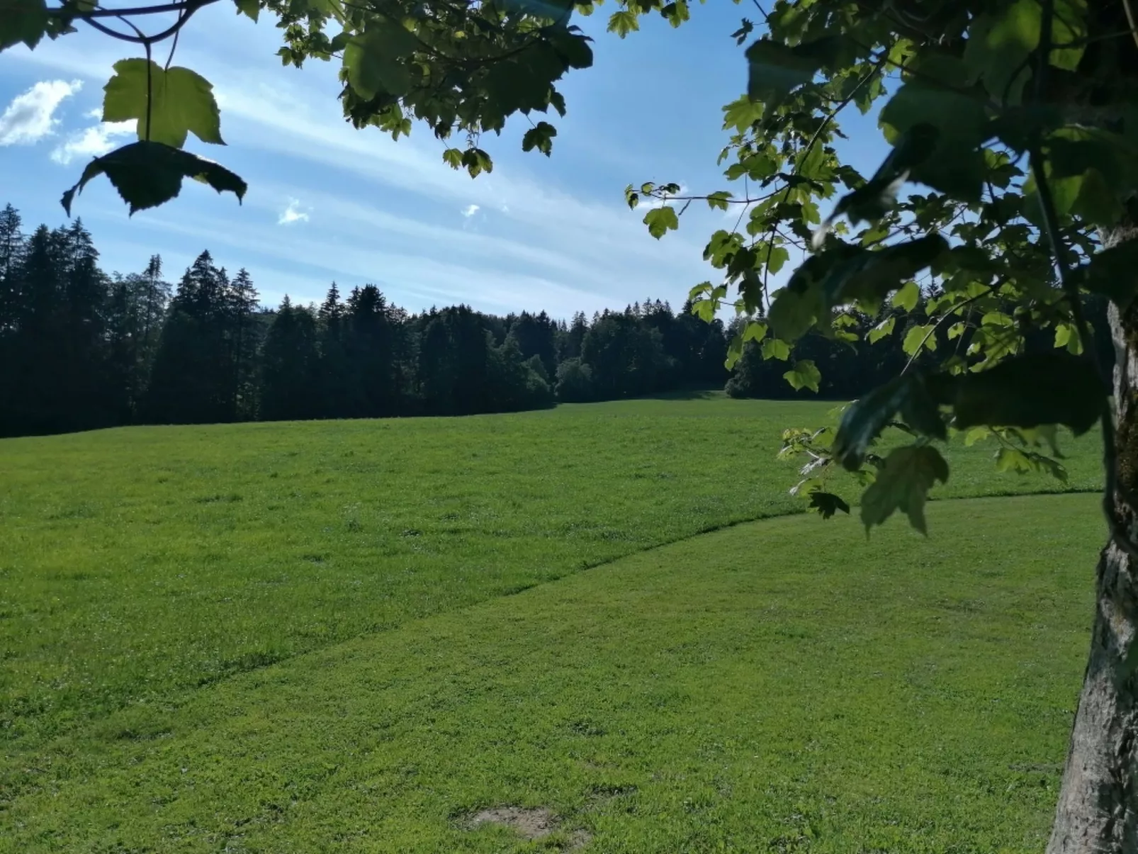 Appartement - Les Poingnats-Outside