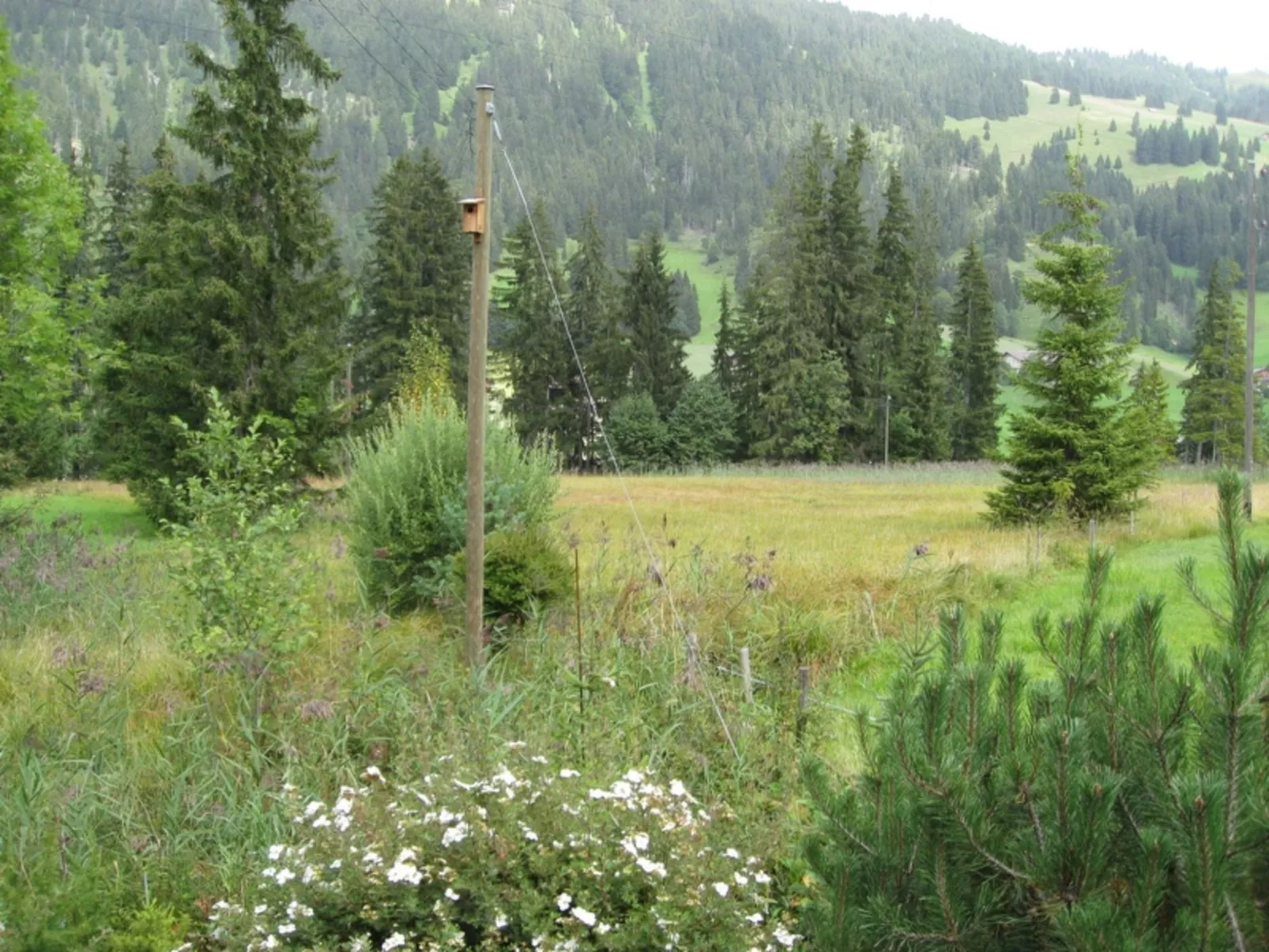 Chalet Nyati-Outside