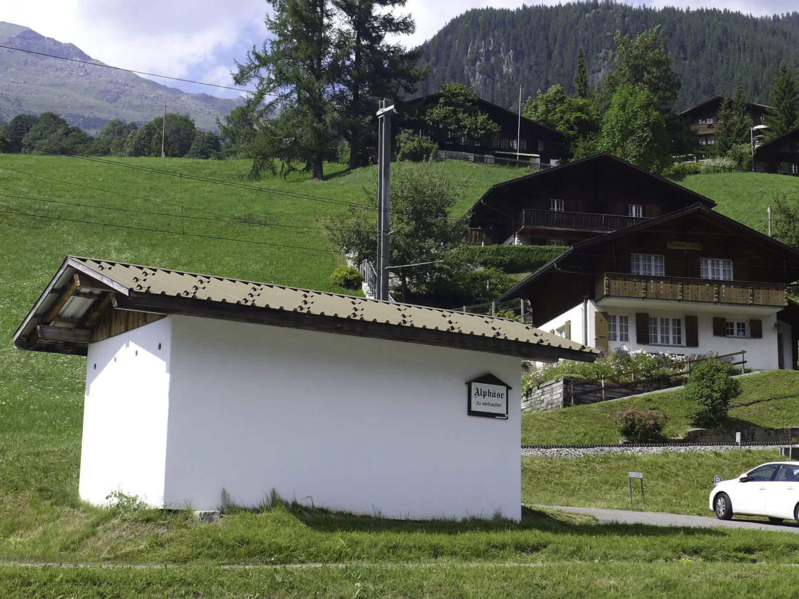 Chalet Reinhysi-Outside