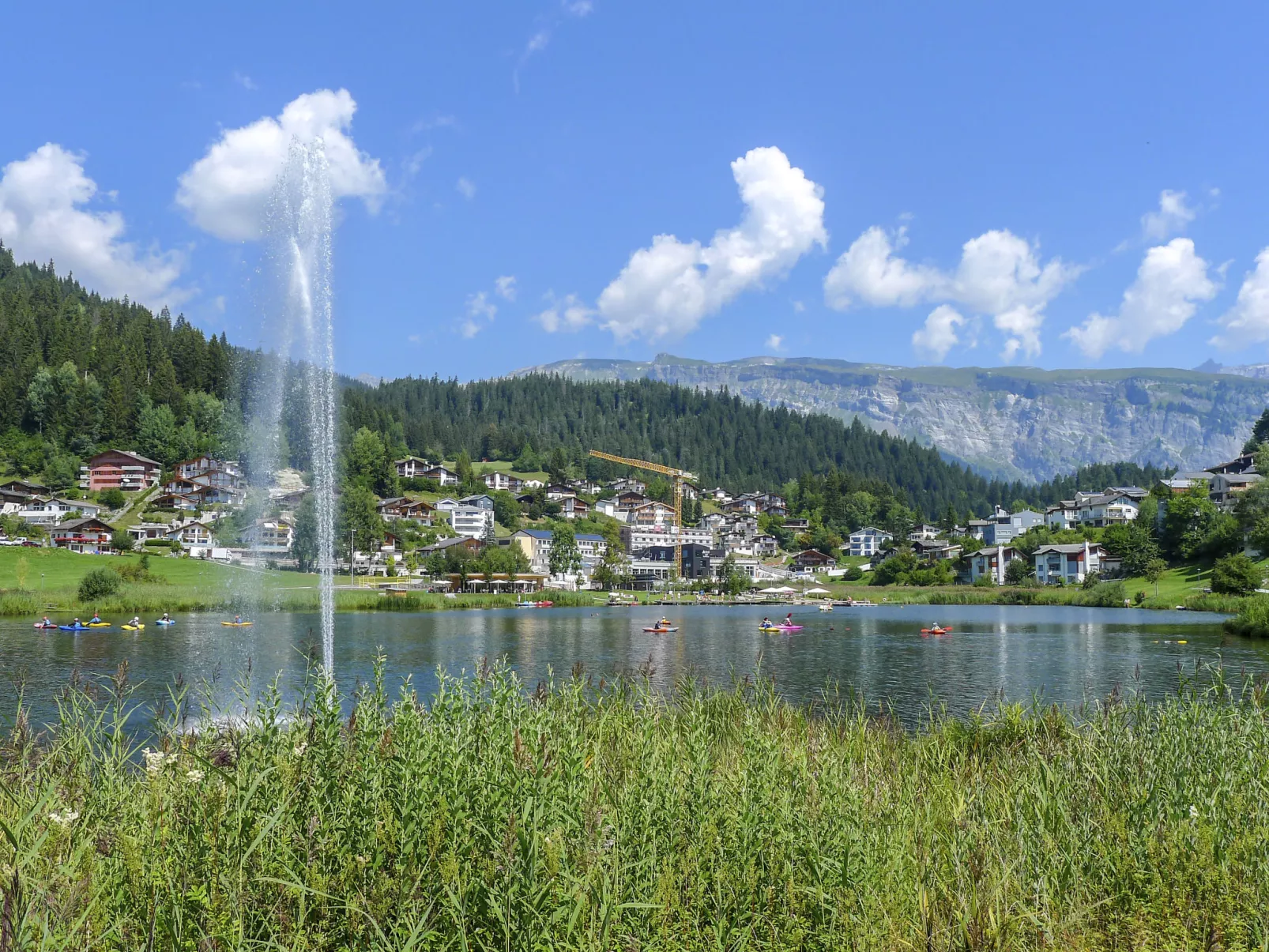 Schumellins (LAA400)-Draußen
