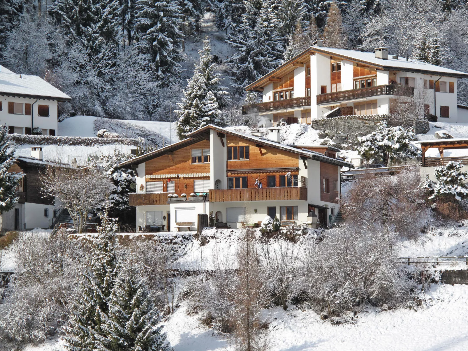 Schumellins (LAA400)-Draußen