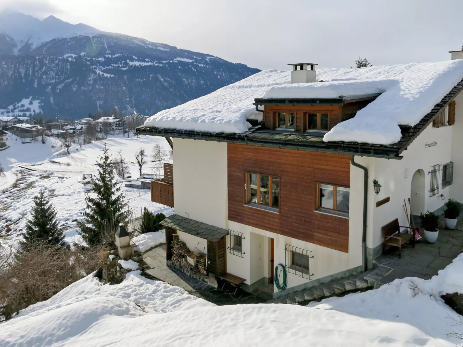 Schumellins (LAA400)-Draußen