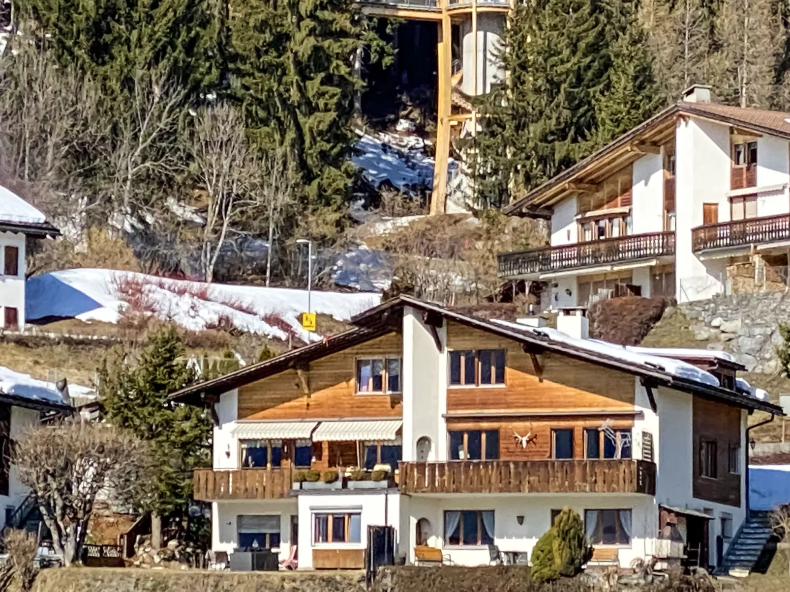 Schumellins (LAA400)-Draußen
