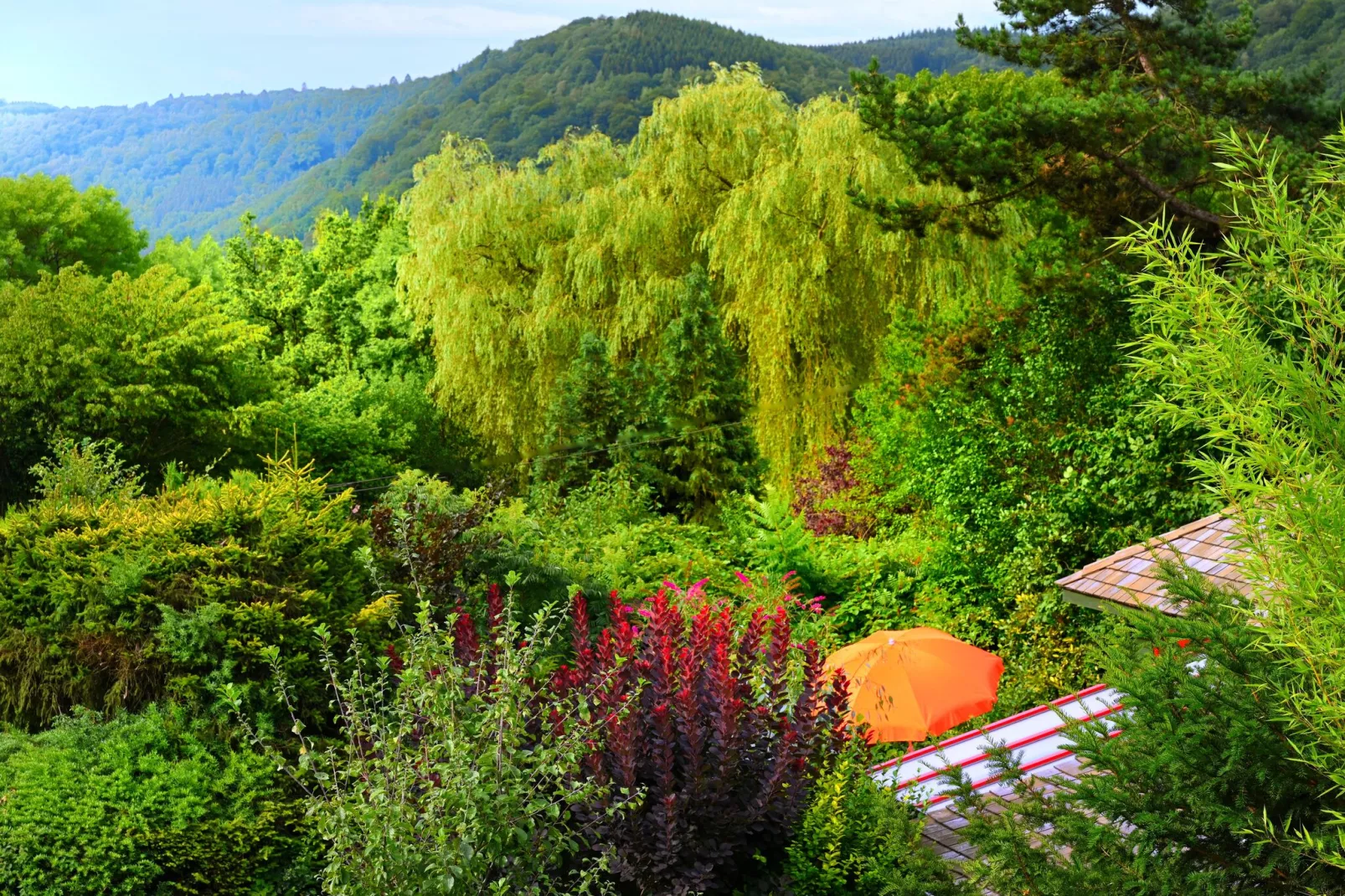 Quarreux 27-View summer