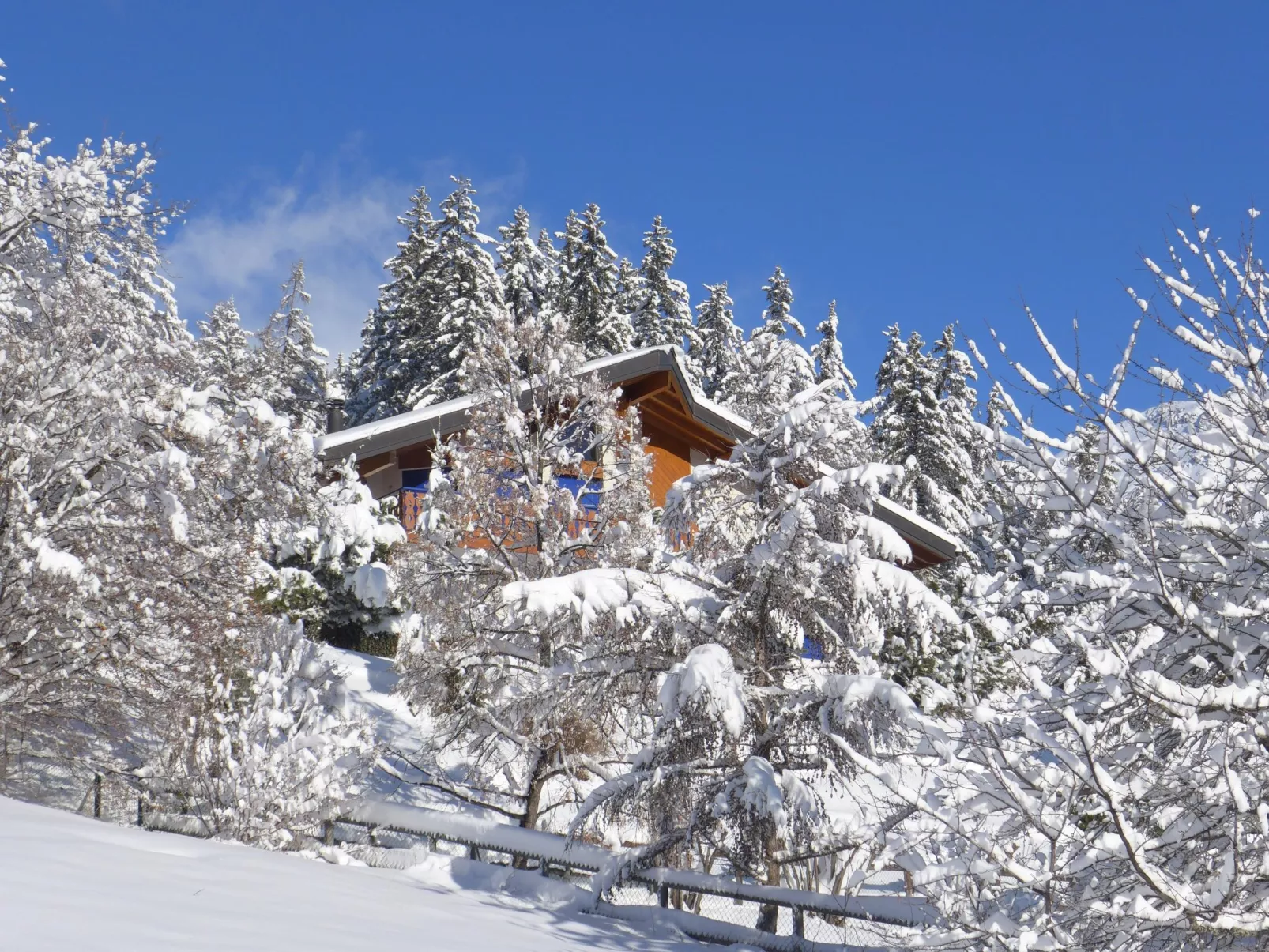 Maison N°35-Outside