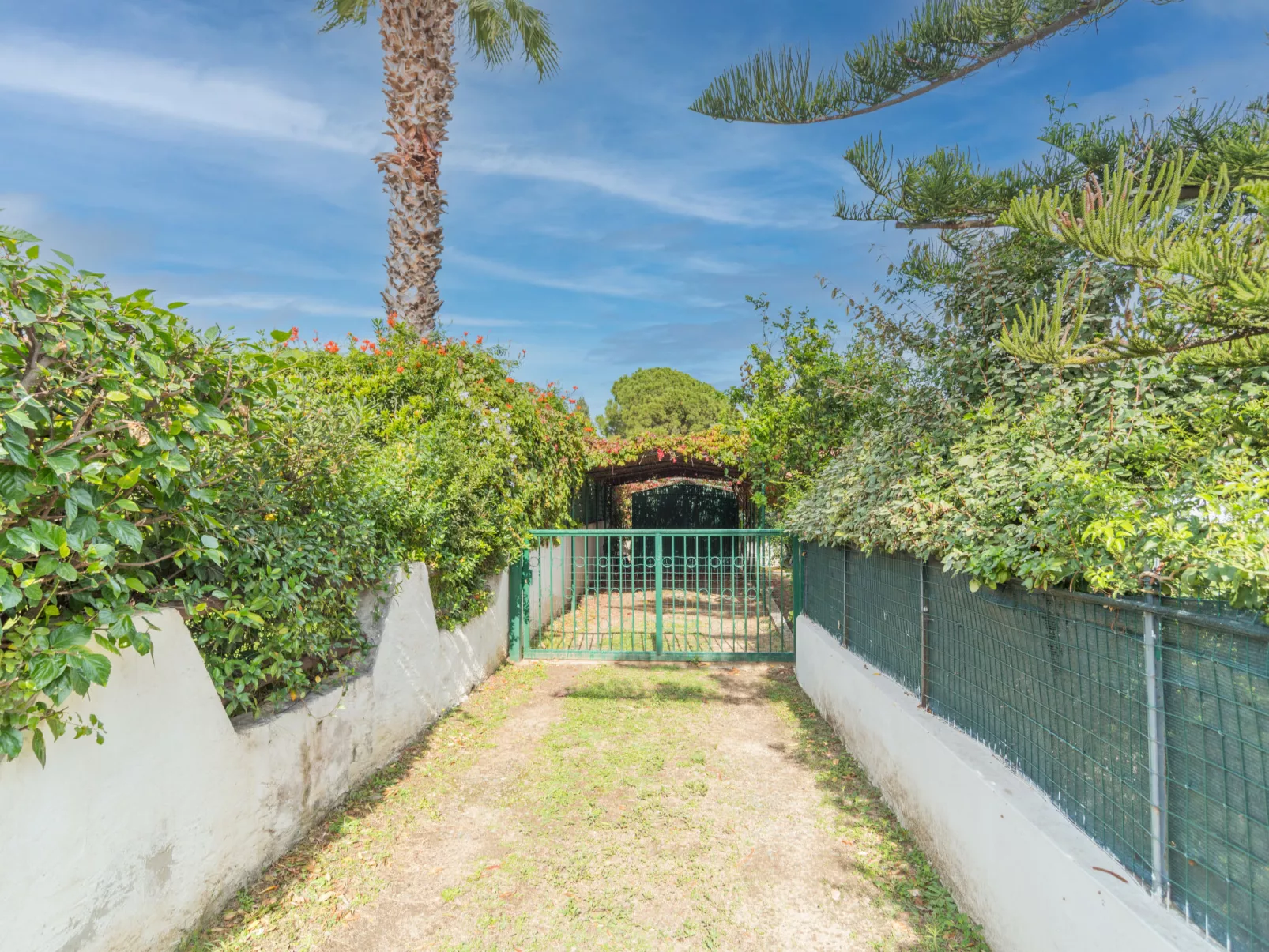 Villa Tulipani (REI221)-Outside