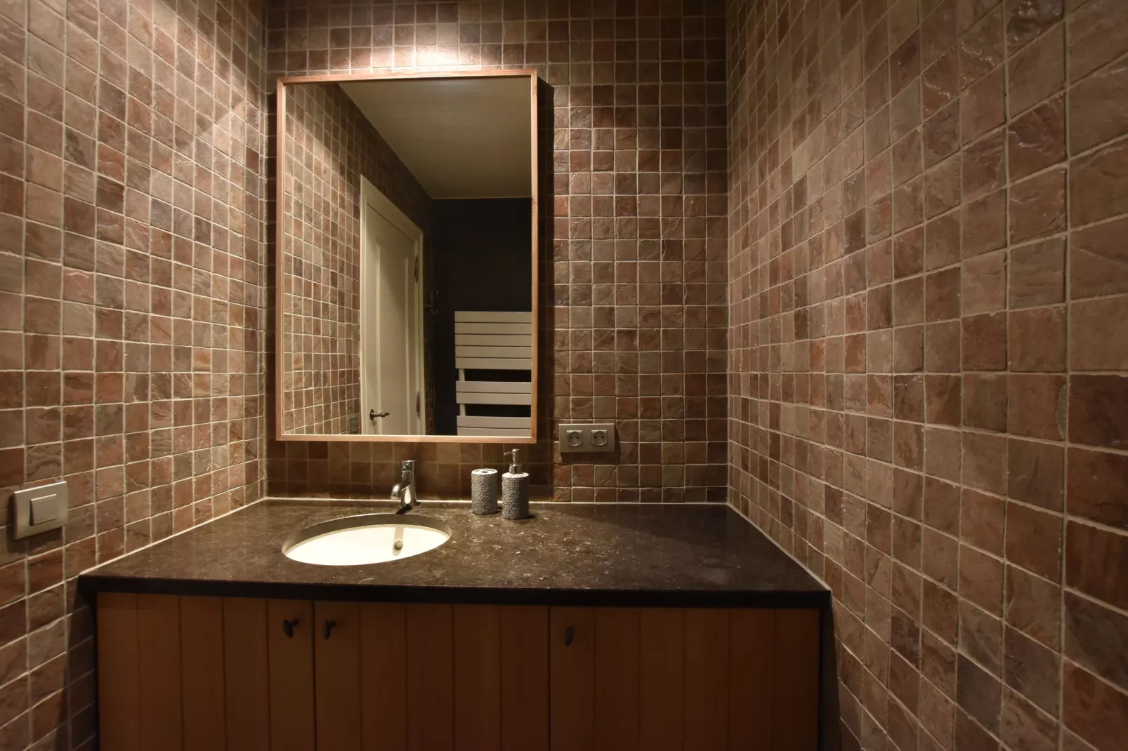 Den Ast-Bathroom