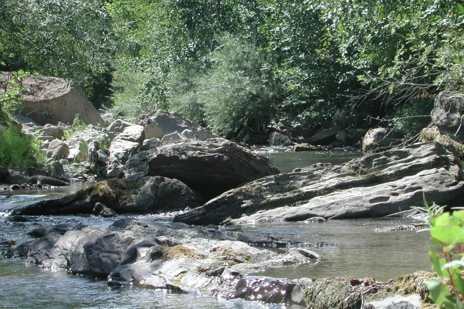 Borgo Belvedere Mono-Areas summer 5km