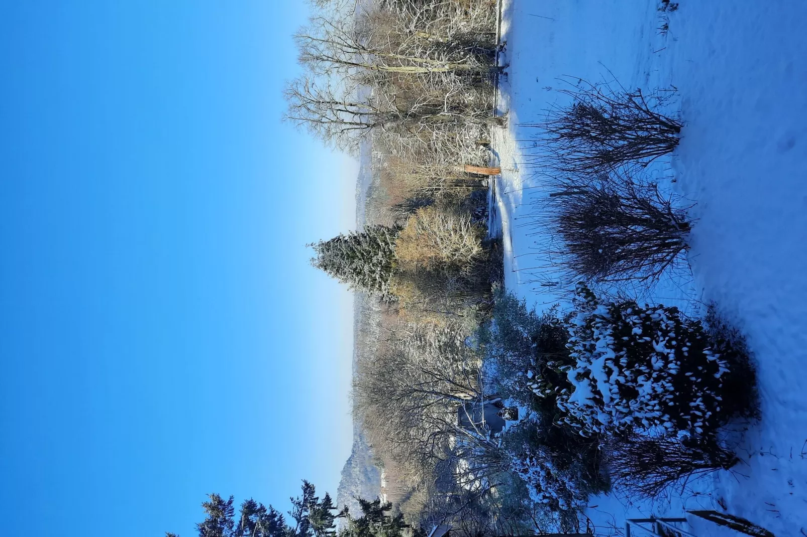 Chalet Saint Bernard - Raon l'Étape-Aussicht Winter