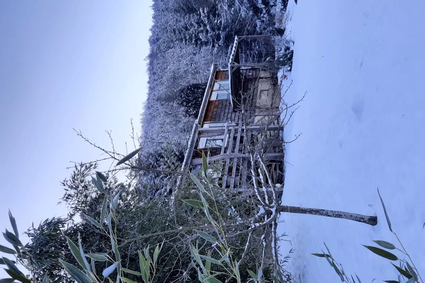 Chalet Saint Bernard - Raon l'Étape-Aussicht Winter