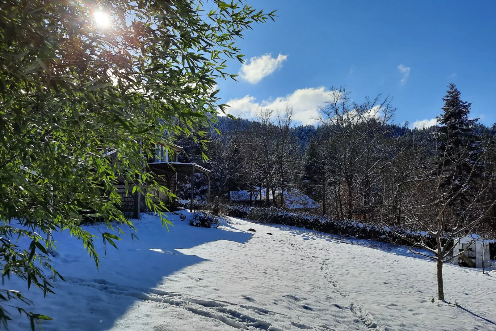 Chalet Saint Bernard - Raon l'Étape-Gebiet Winter 1 km