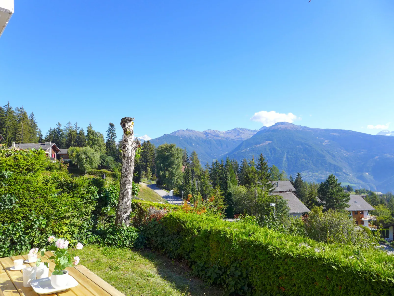 Chalet La Délège-Outside