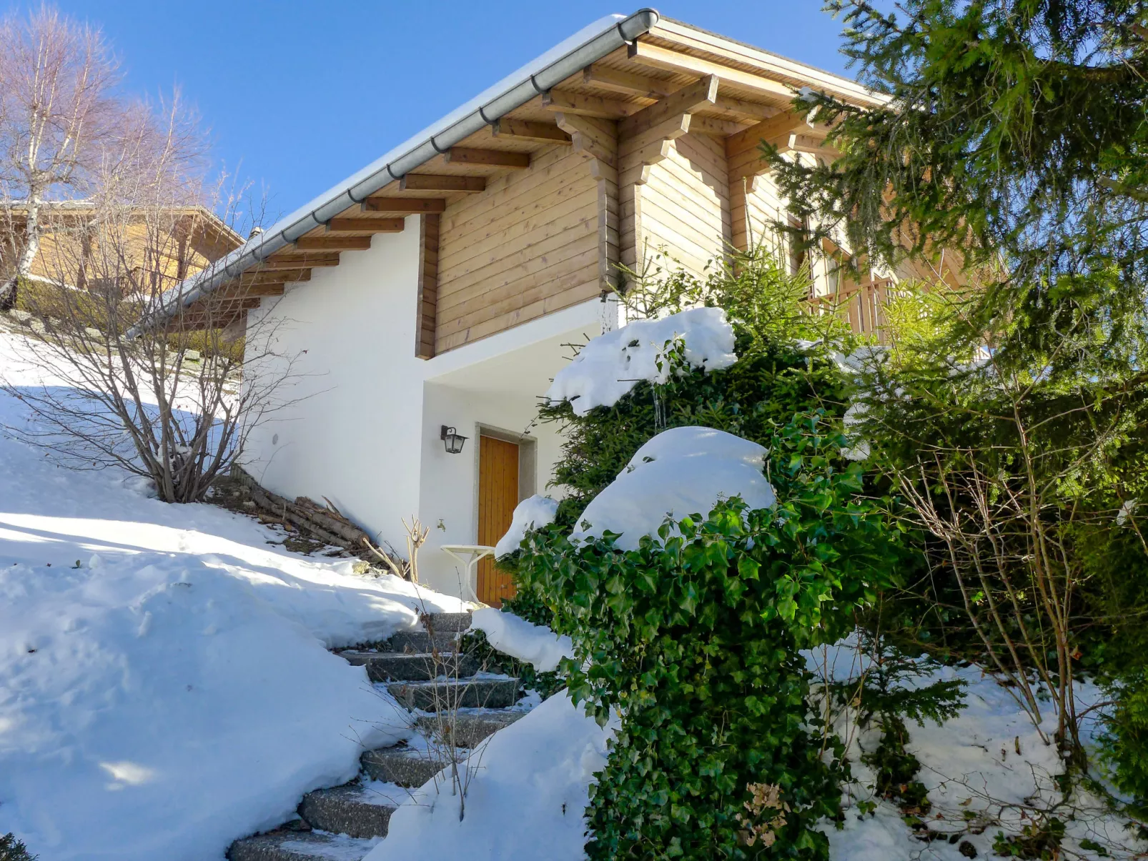 Chalet La Délège-Outside