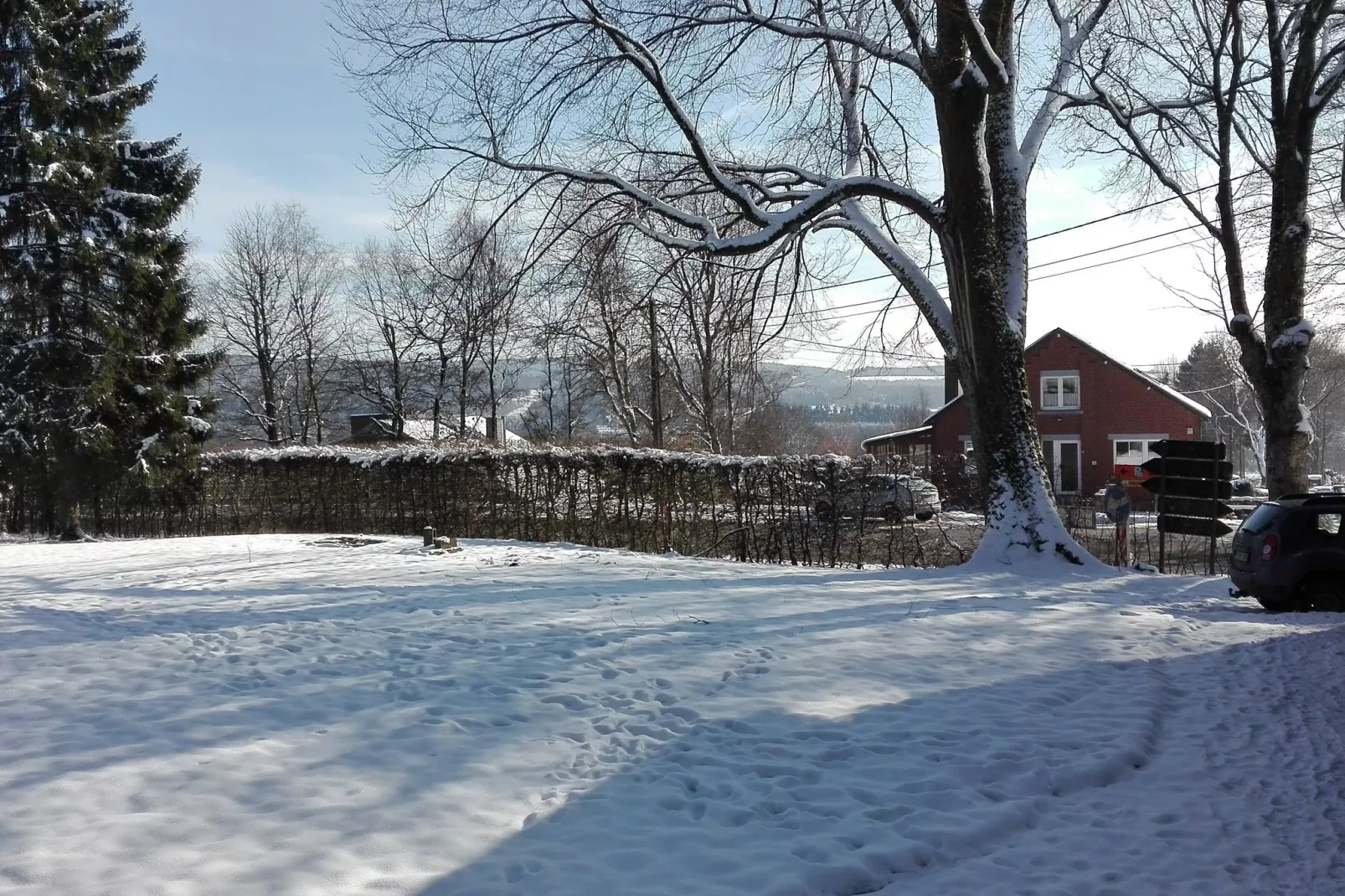 Baronheid-Garden winter