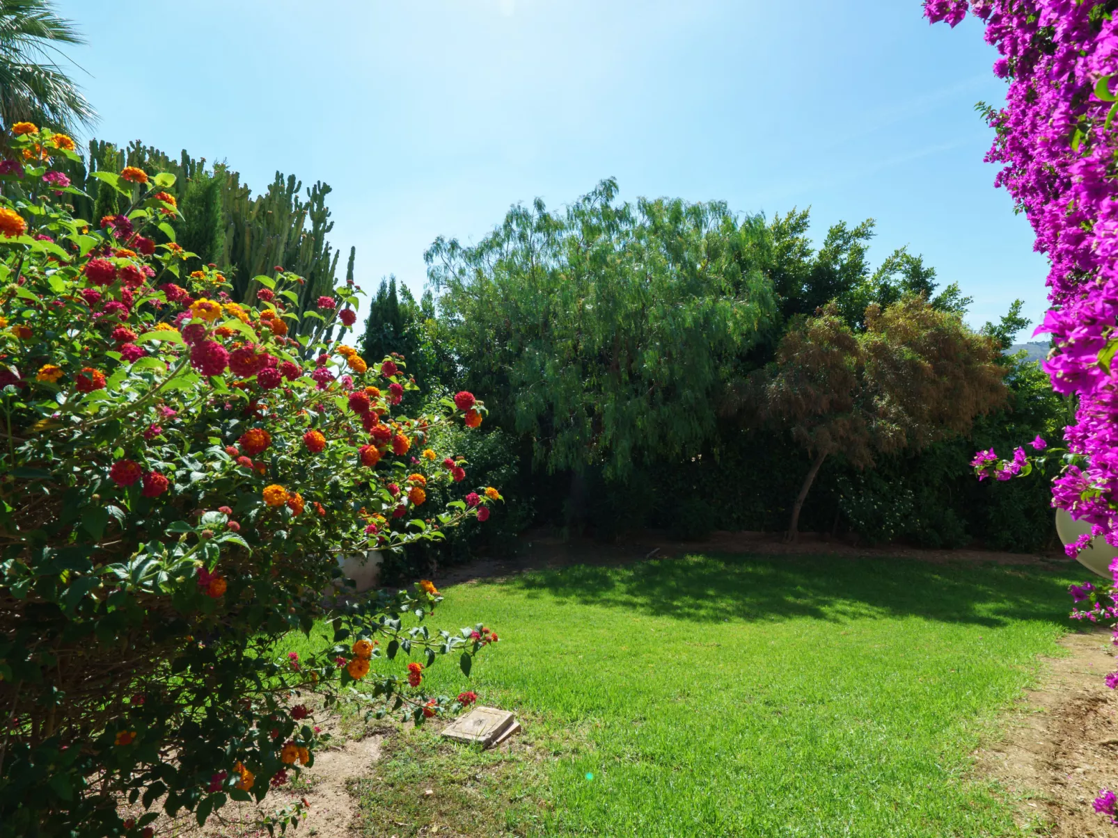 Tesoro Park-Outside