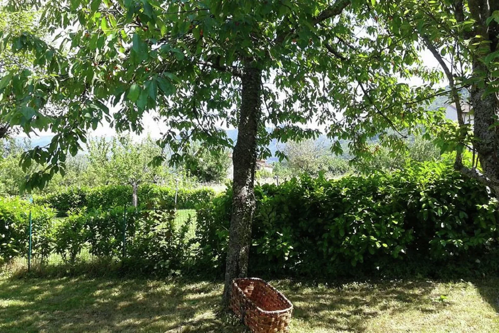 Casa Via Pieve-Gardens summer
