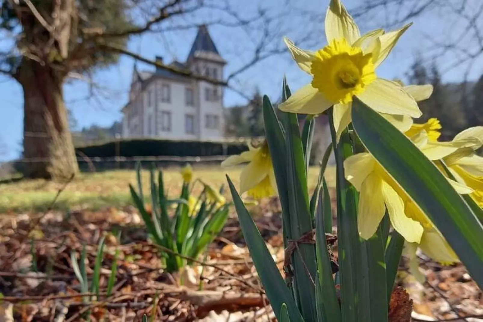 LA MAISON DU GARDIEN-Gebiete Sommer 1 km