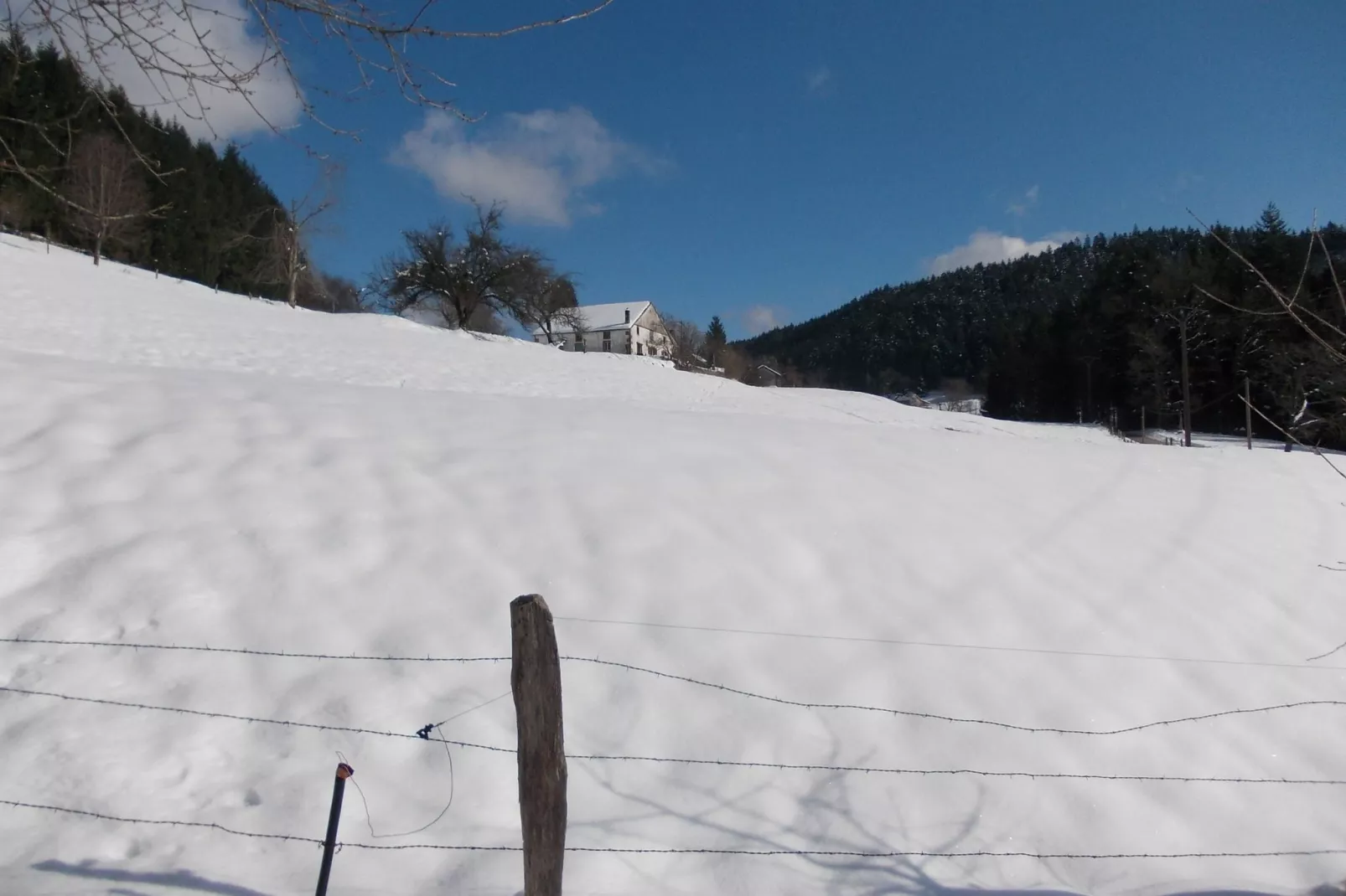 Genevieve 1-Exterior winter