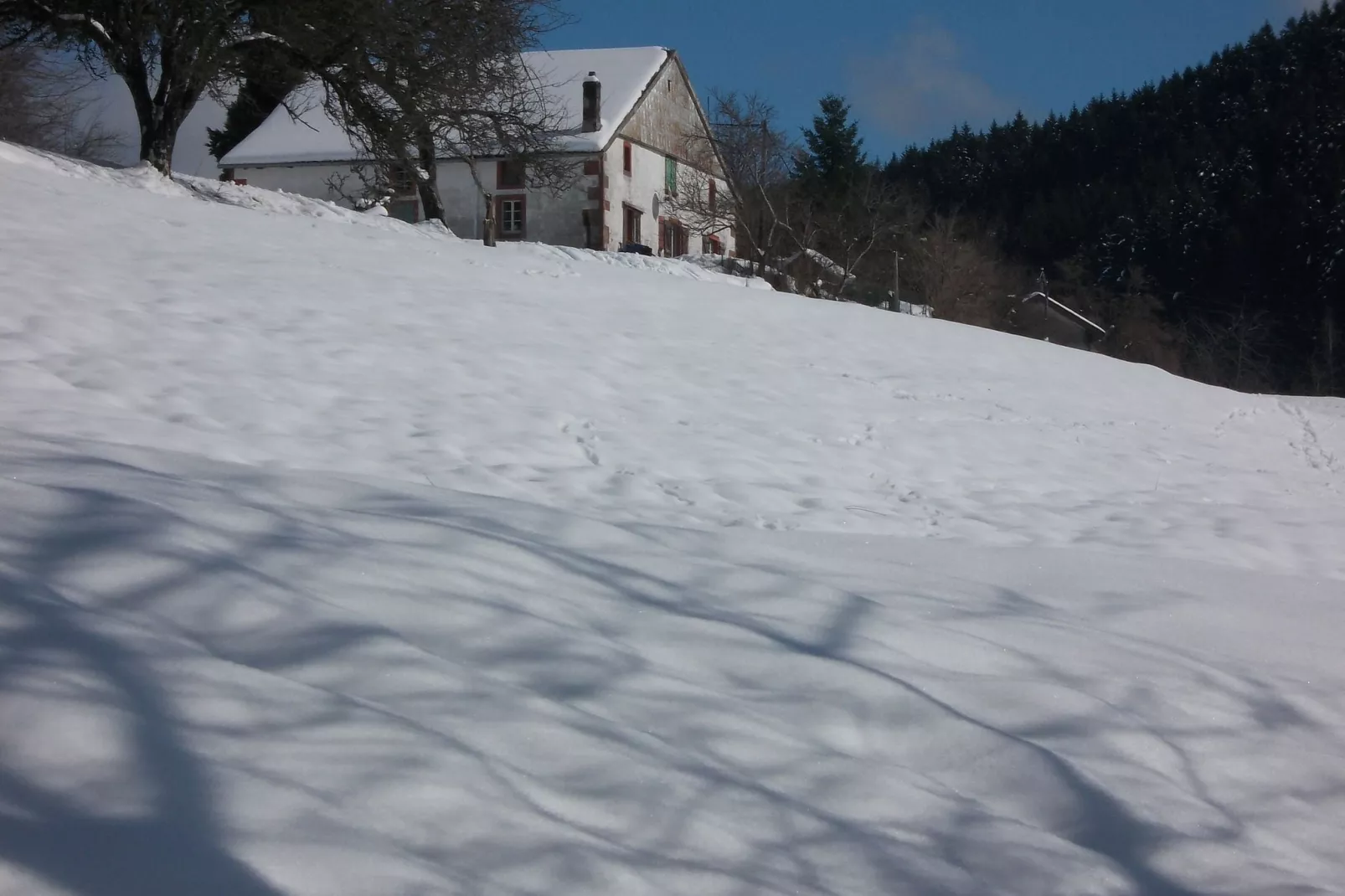Genevieve 1-Exterior winter