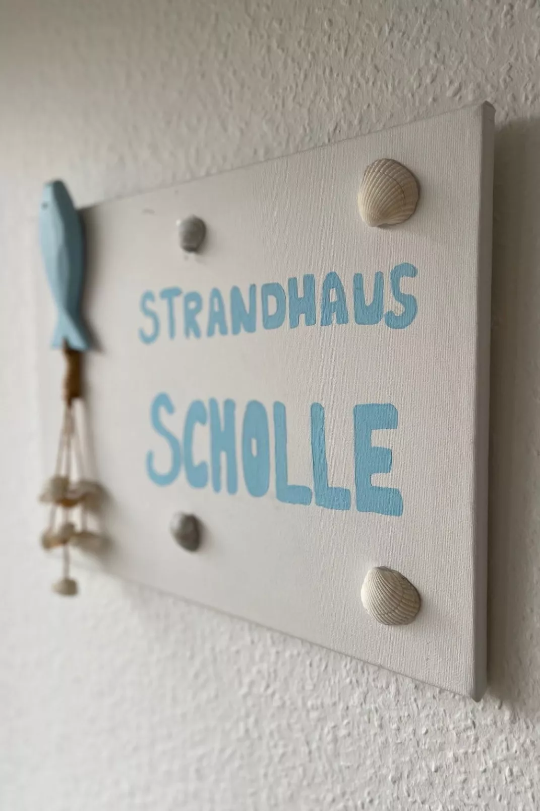 Scholle-Inside