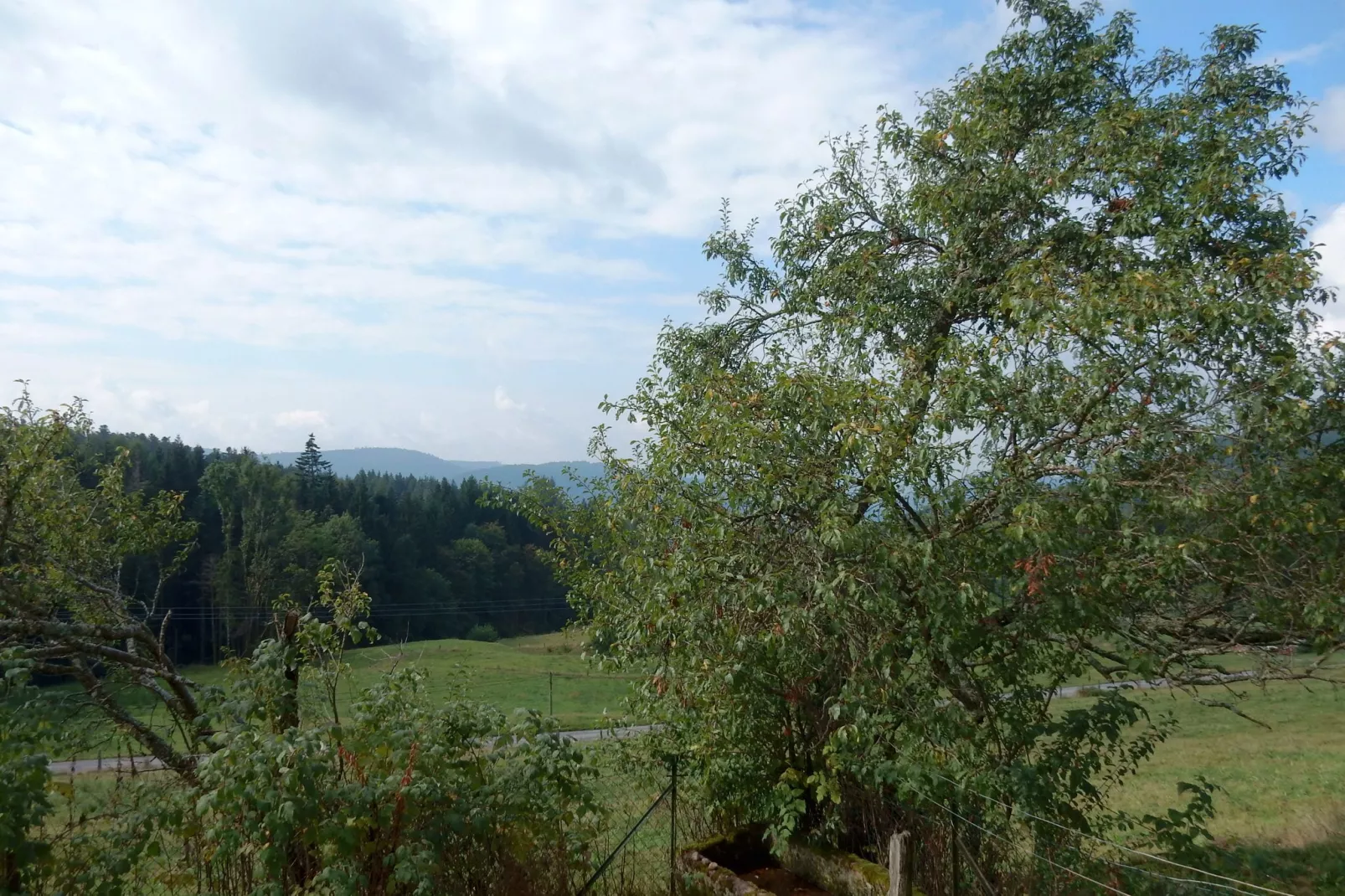 Genevieve 1-Areas summer 1km