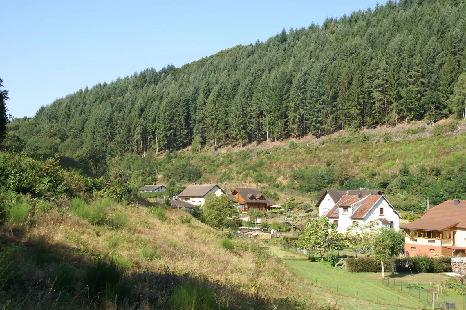 Genevieve 1-Areas summer 5km