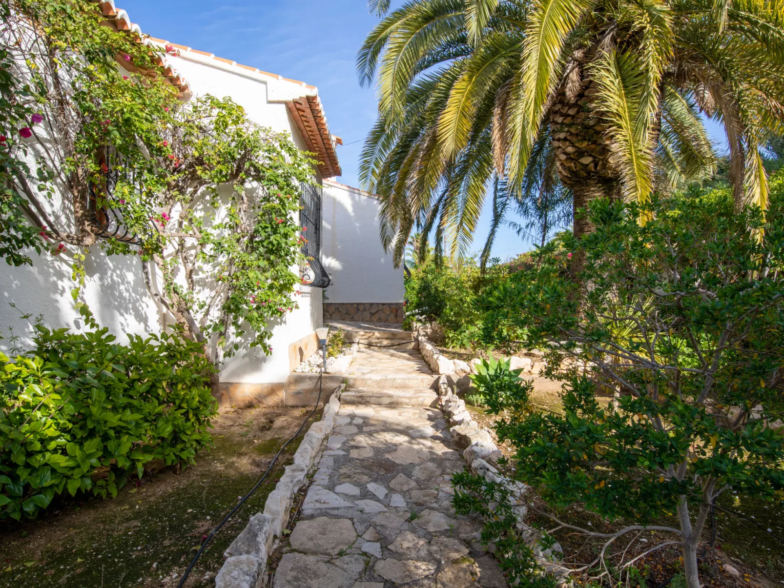 Cap Marti-Inside