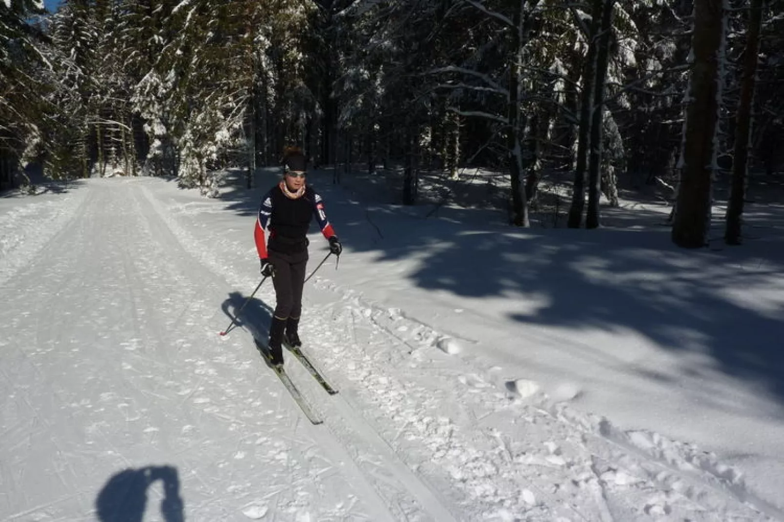 Genevieve 1-Area winter 5km