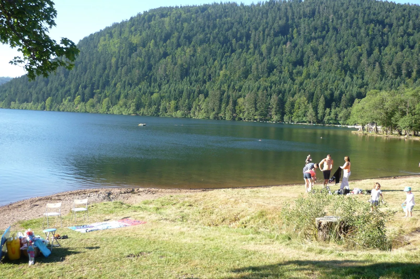 Genevieve 1-Areas summer 20km