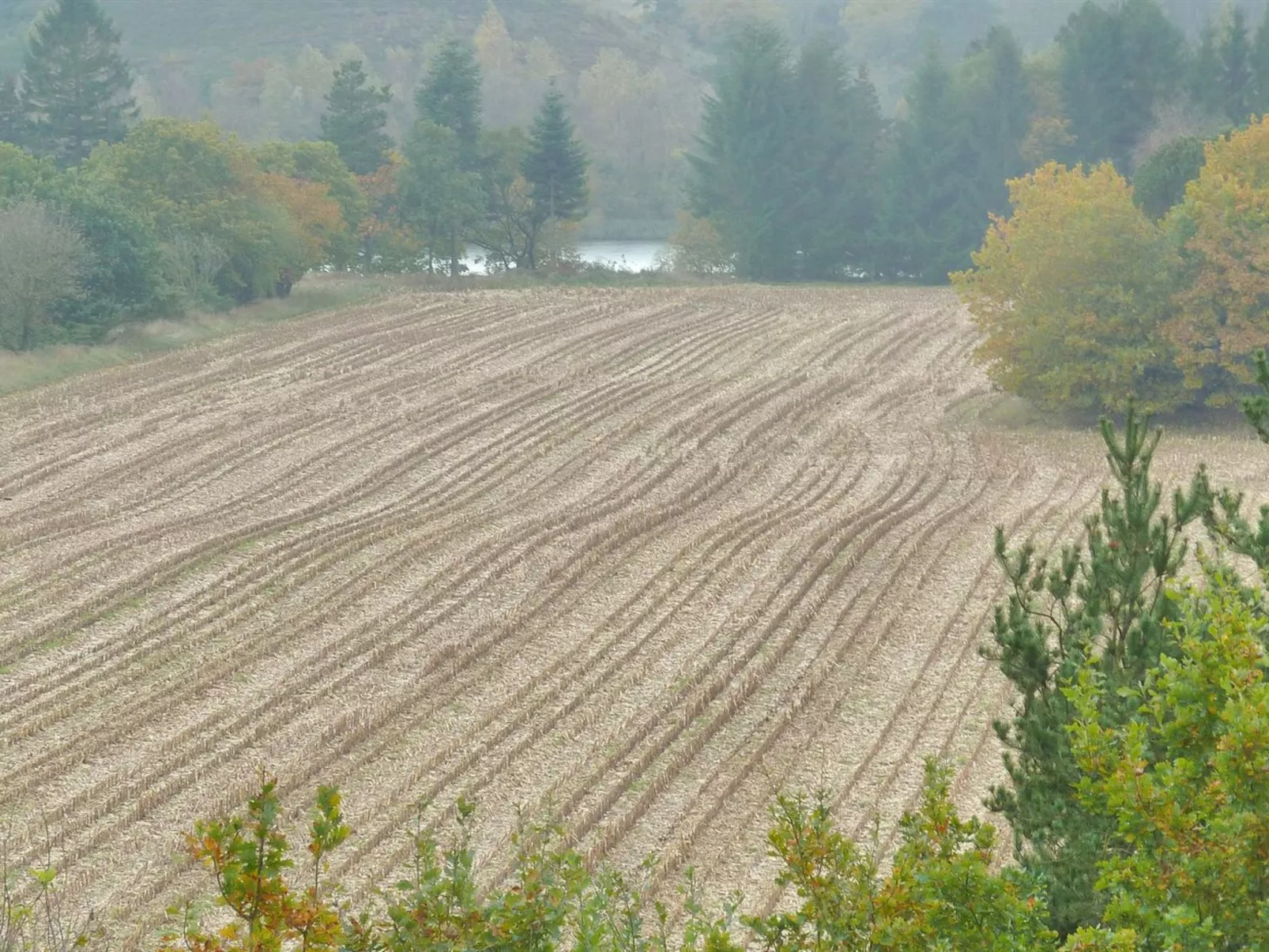"Piia" - 800m from the sea-Dehors