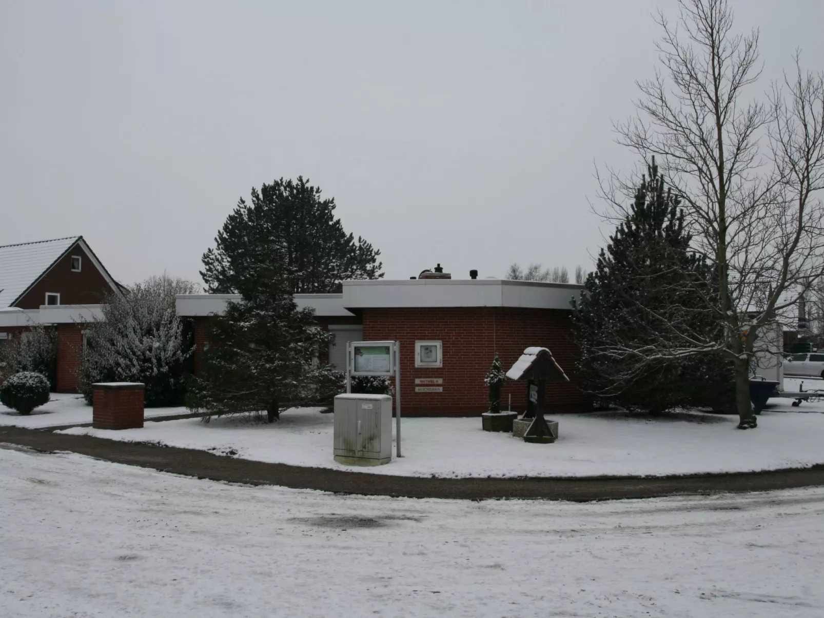 Samtmuschel-Outside