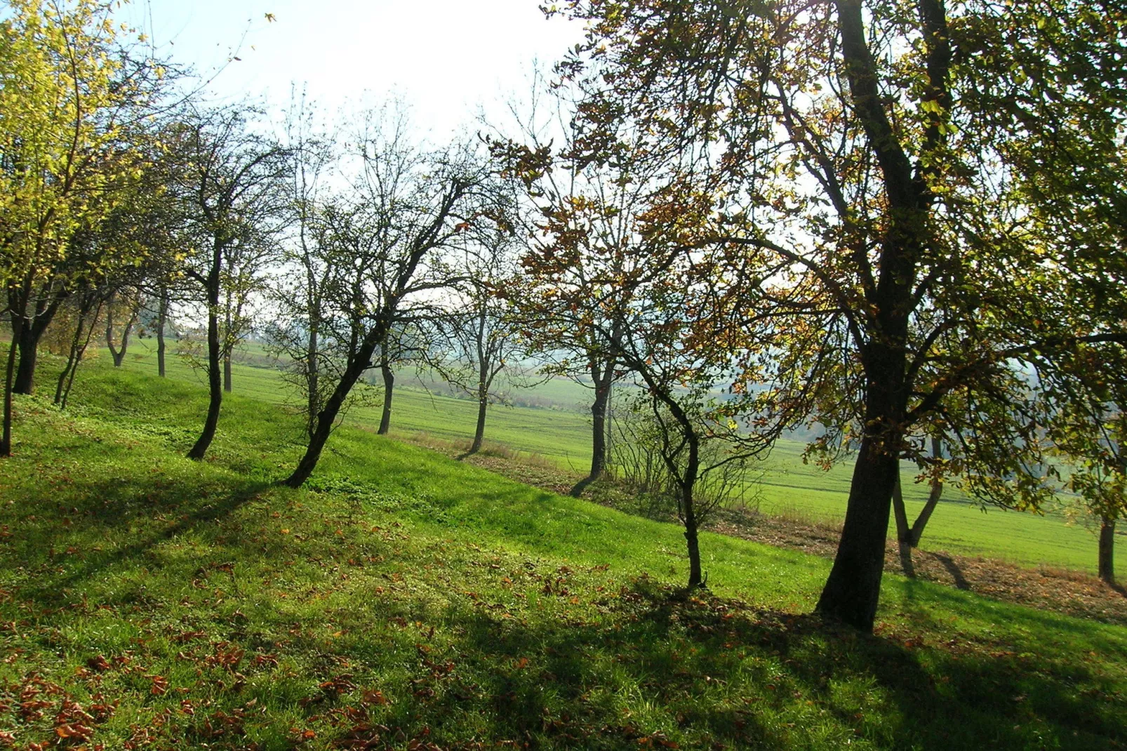 Appartamento Grande-Gebiete Sommer 5 km