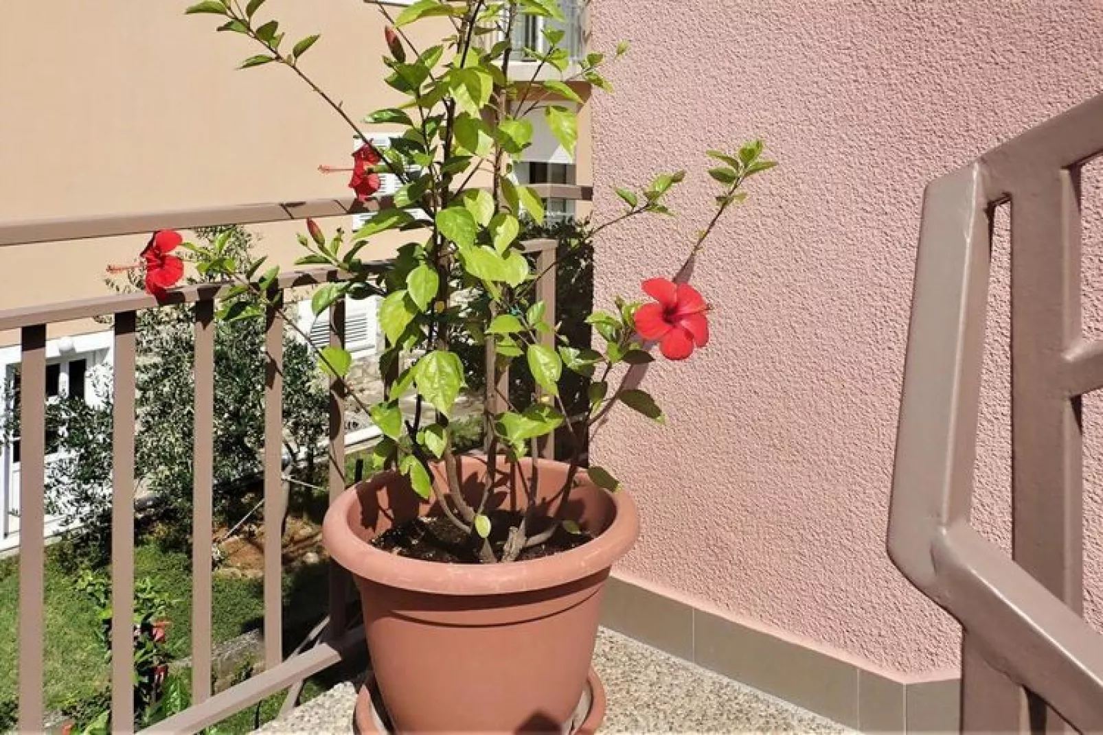 Apartment im Haus Pink Starigrad Paklenica SD17-A02 - 4 Pers-Terrace balcony