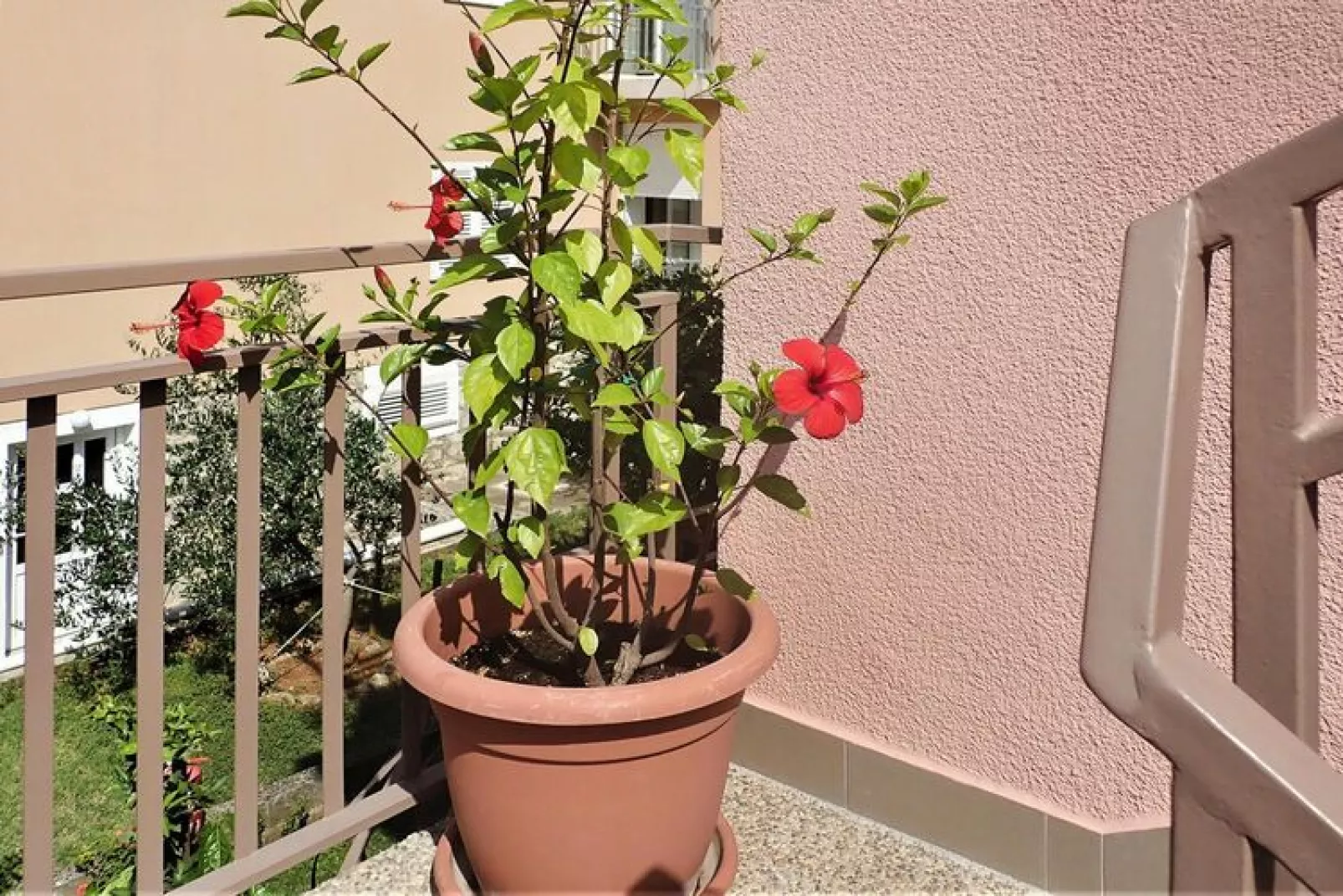 Apartment im Haus Pink Starigrad Paklenica SD17-A03 - 3 Pers-Terrace balcony