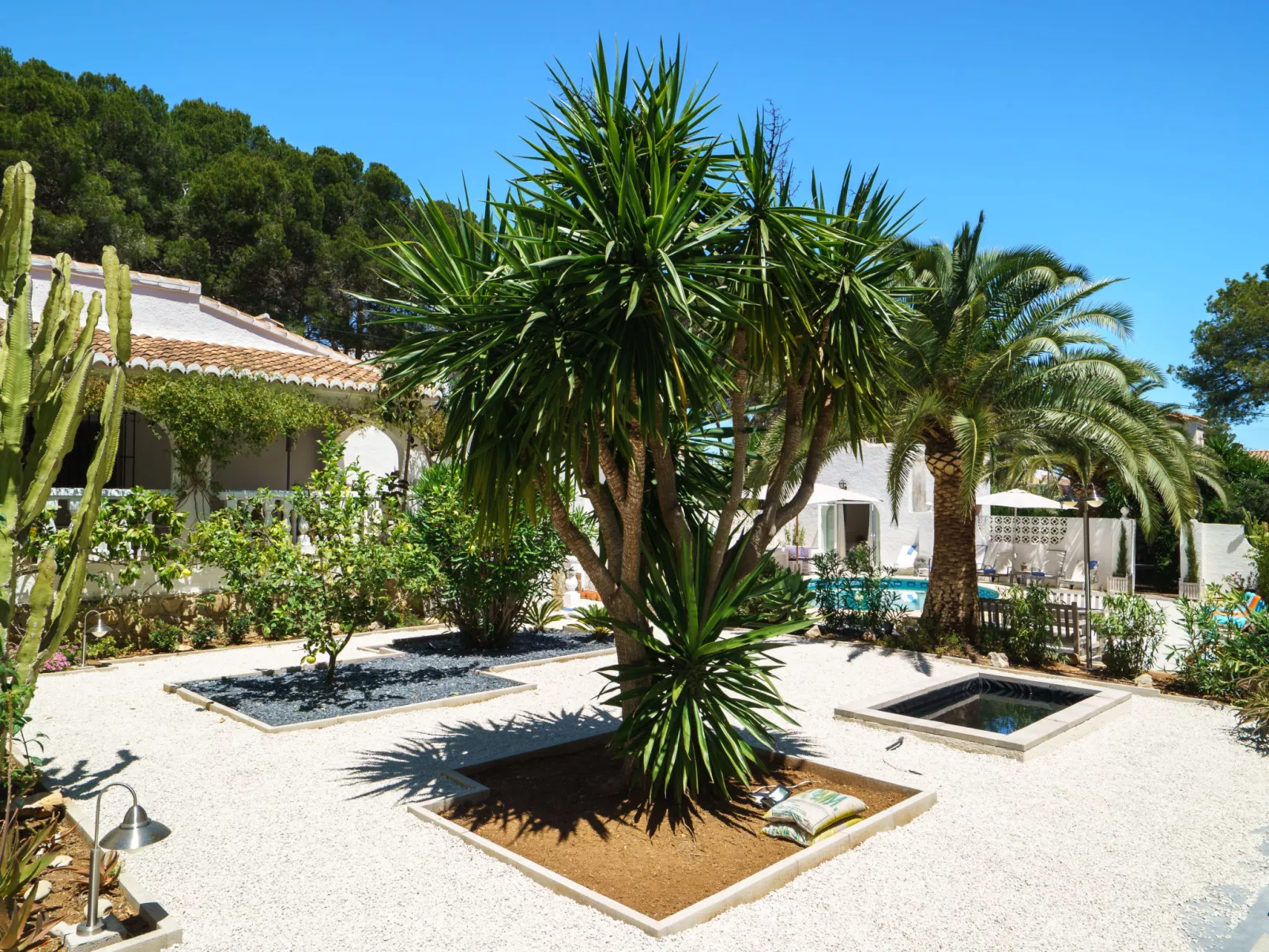 El Palmeral-Inside