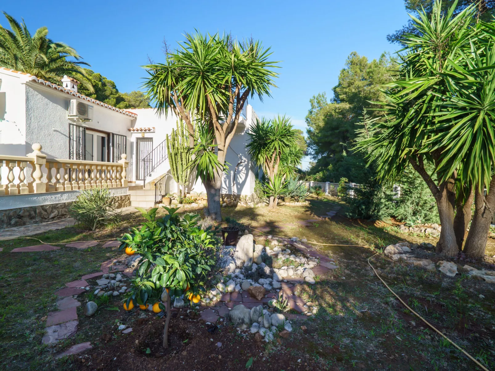 El Palmeral-Inside