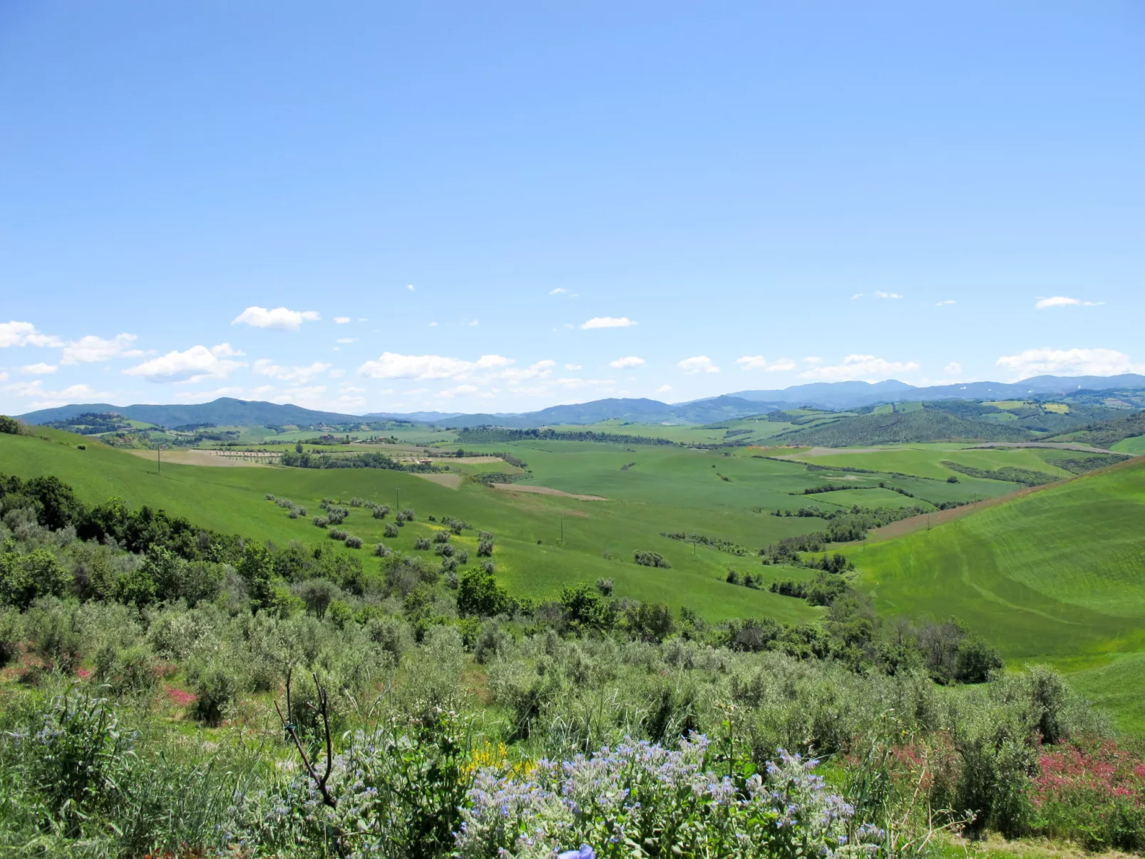 Le Pergole-Area