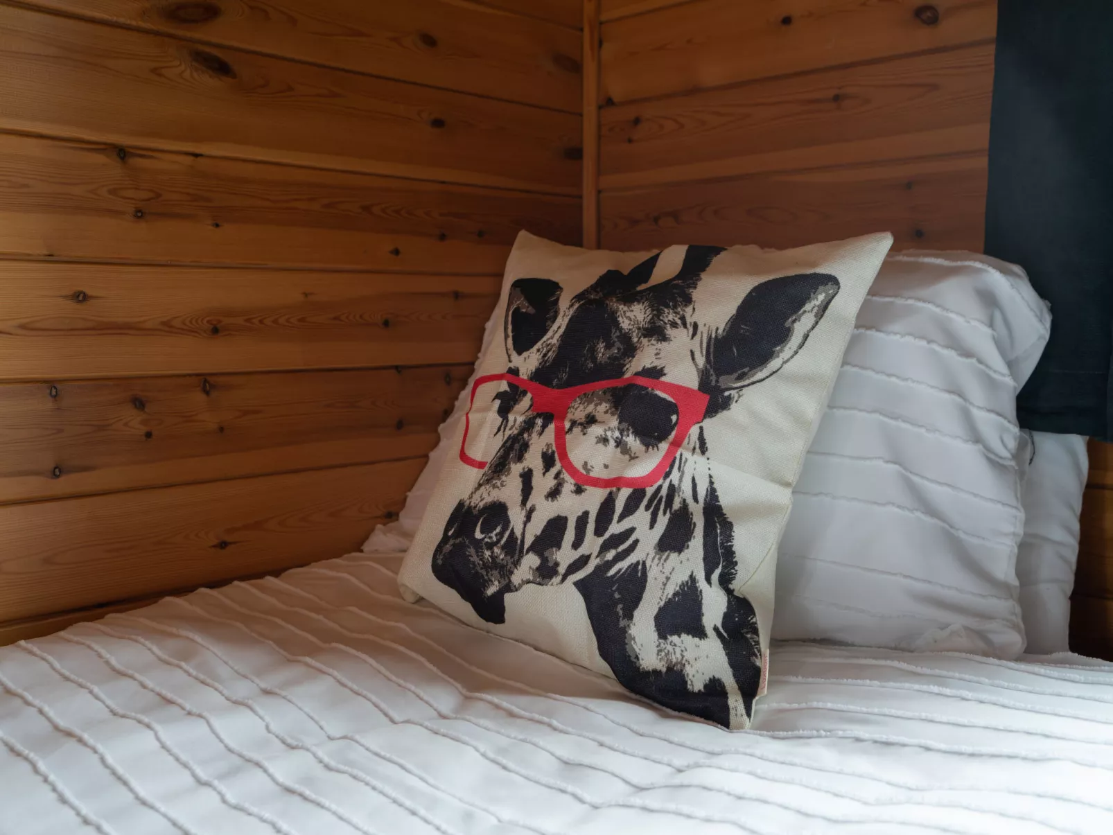 Loch Leven Lodge 12-Inside