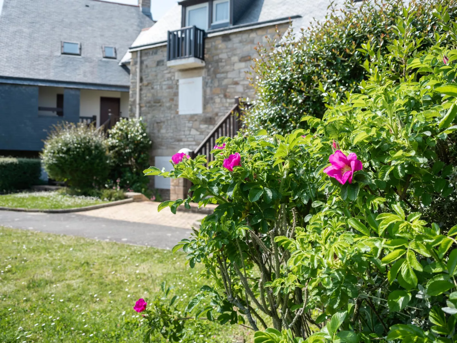 Maison Port En Dro-Dehors