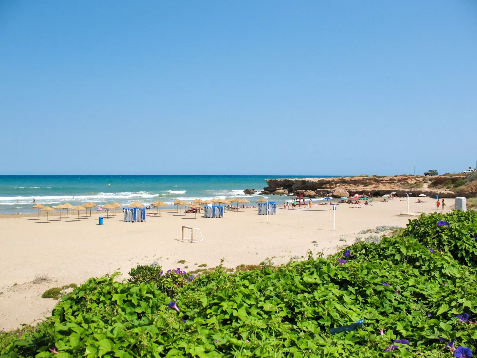 El Palmar Playa Romana-Area