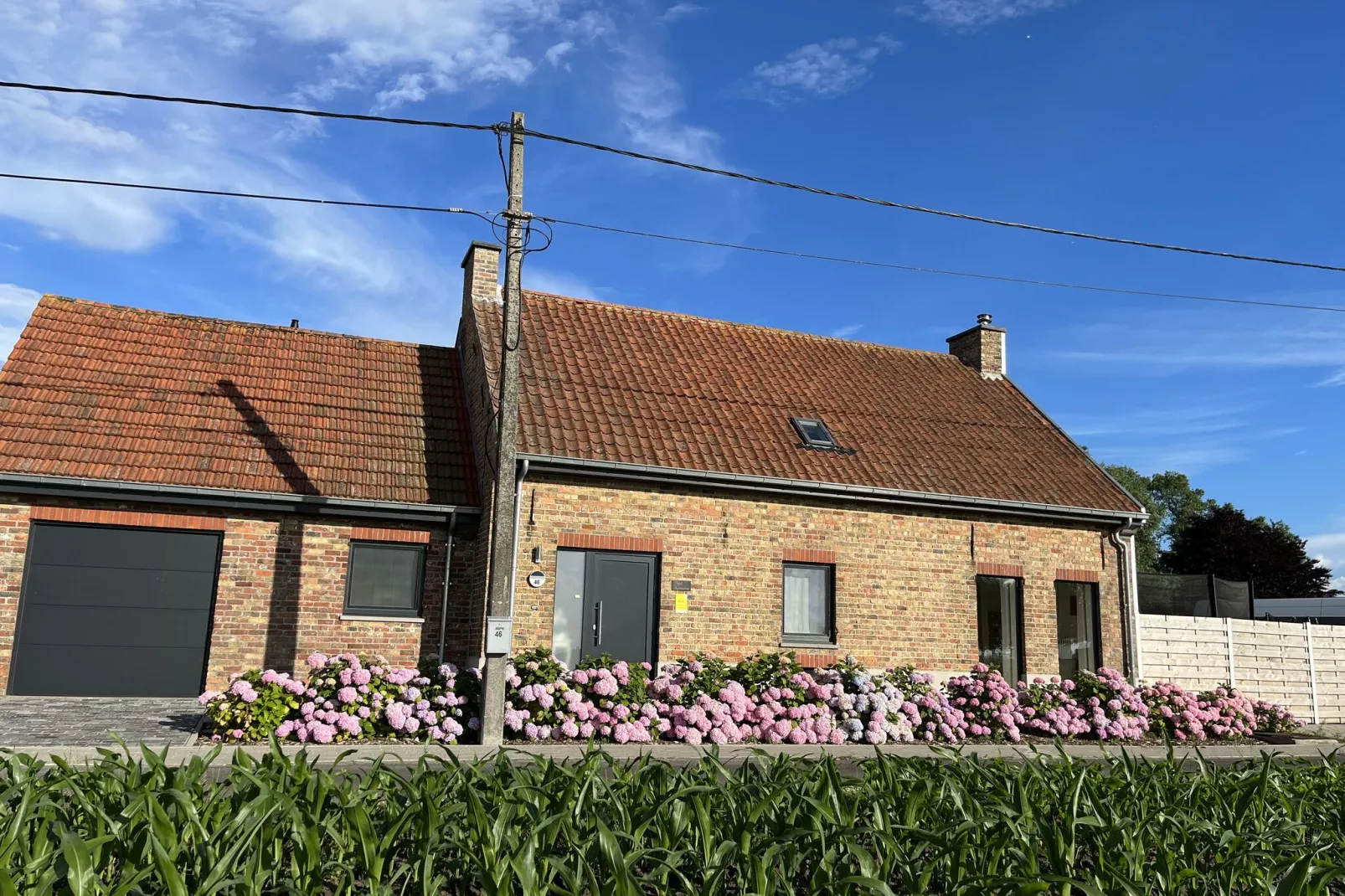 Vakantiehuis Romanie-Extérieur été