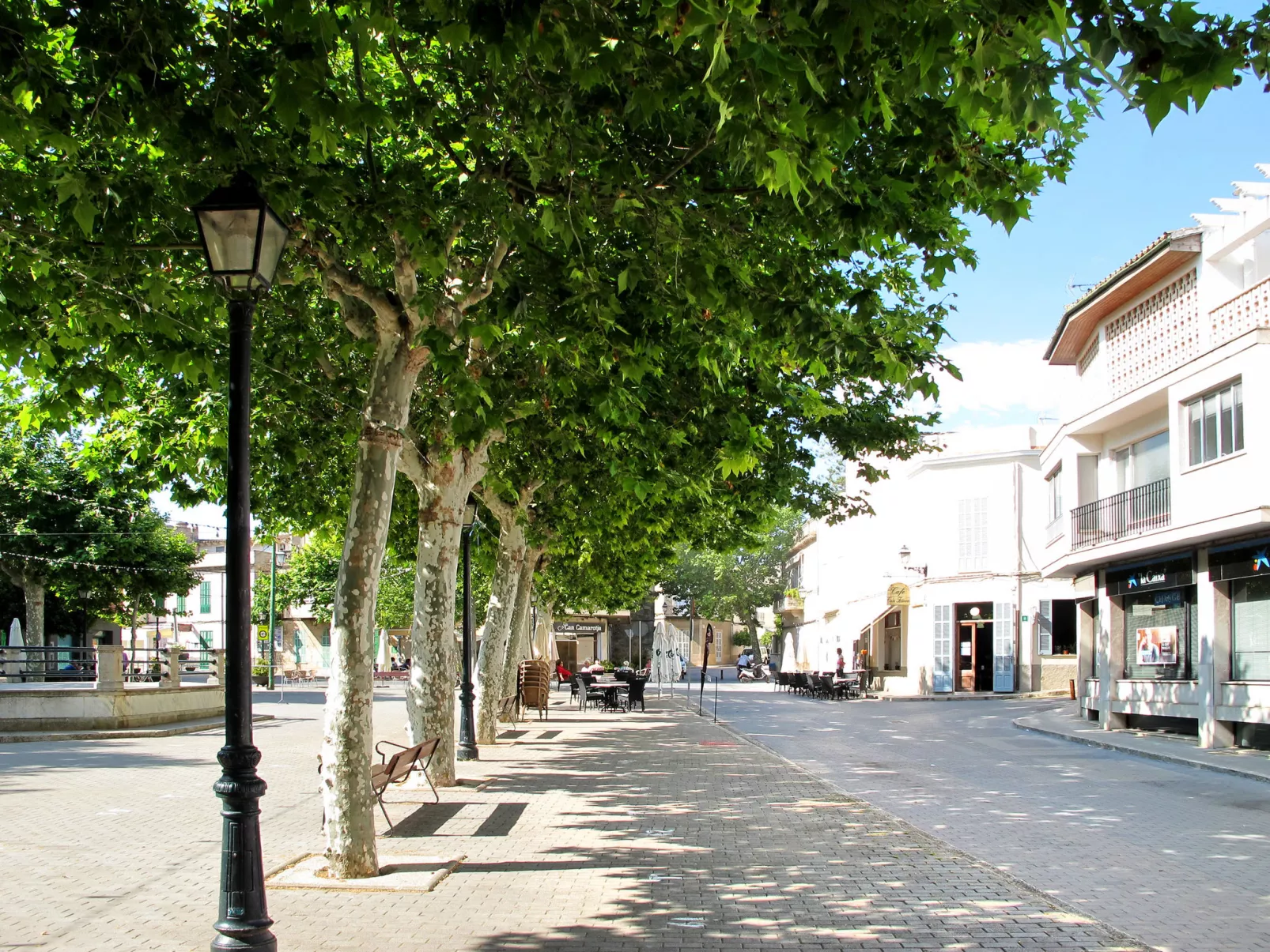 Sa Verdera-Area