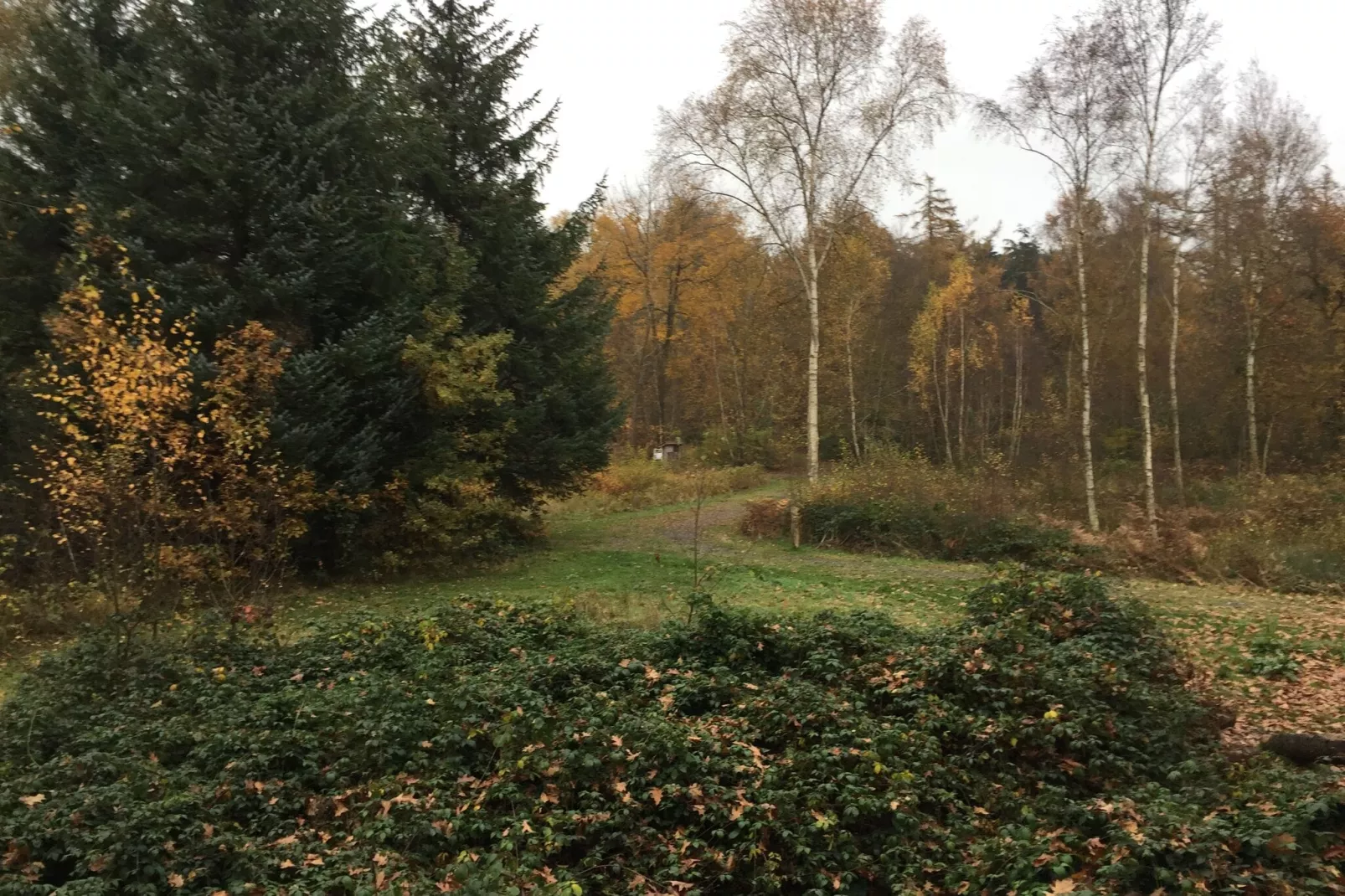Vakantiehuis Romanie-Zone d'hiver à 20 km