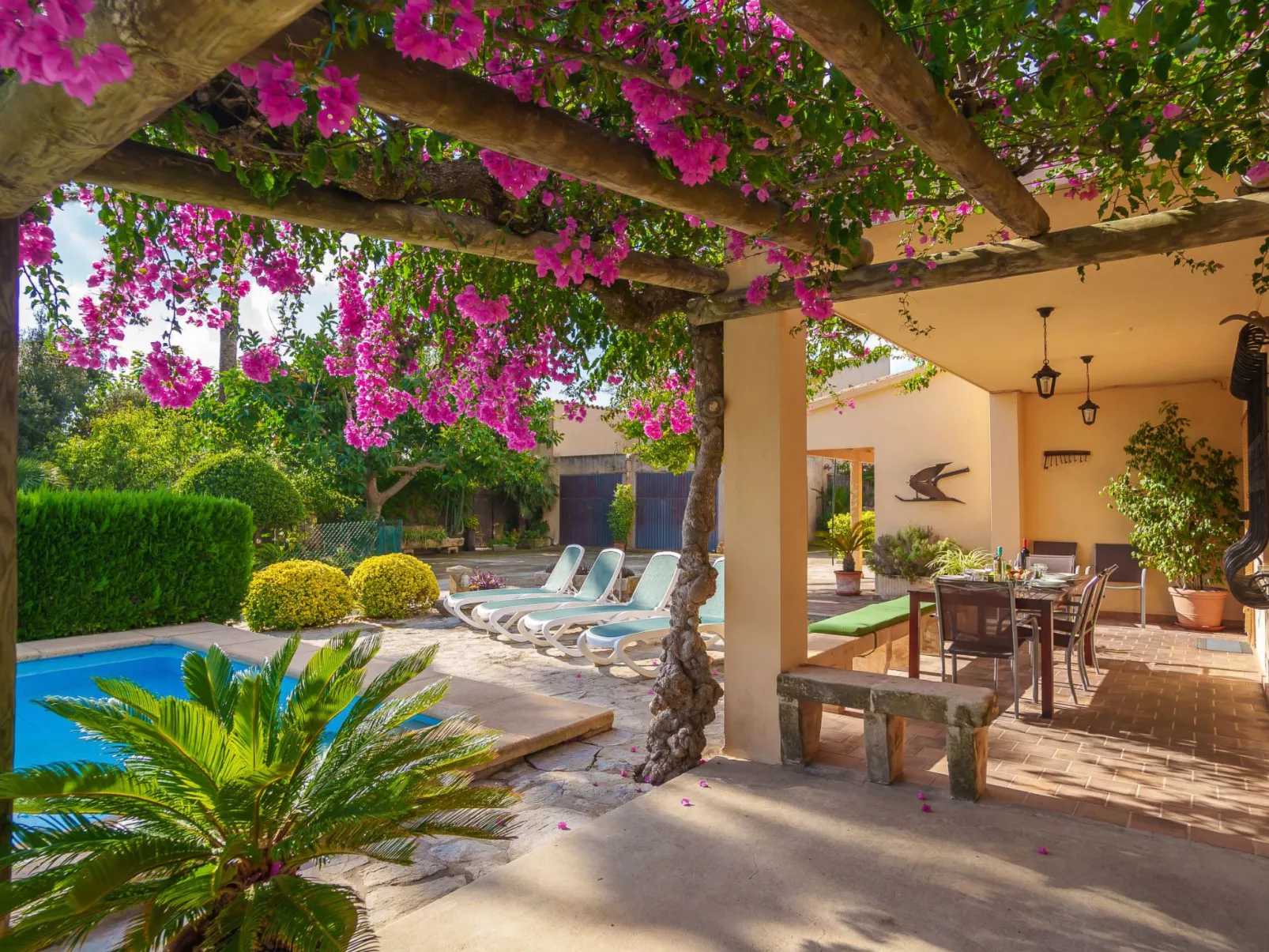 La Truyola Pool Finca-Outside