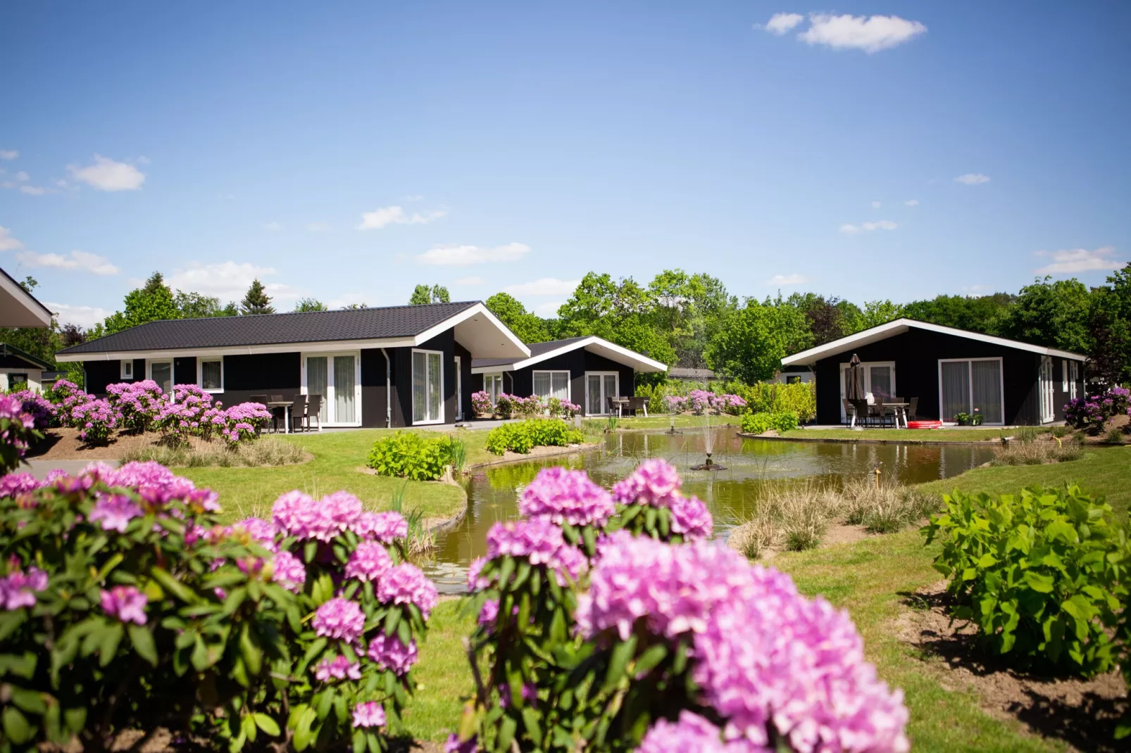 Vakantiepark Molenvelden 1-Exterior summer